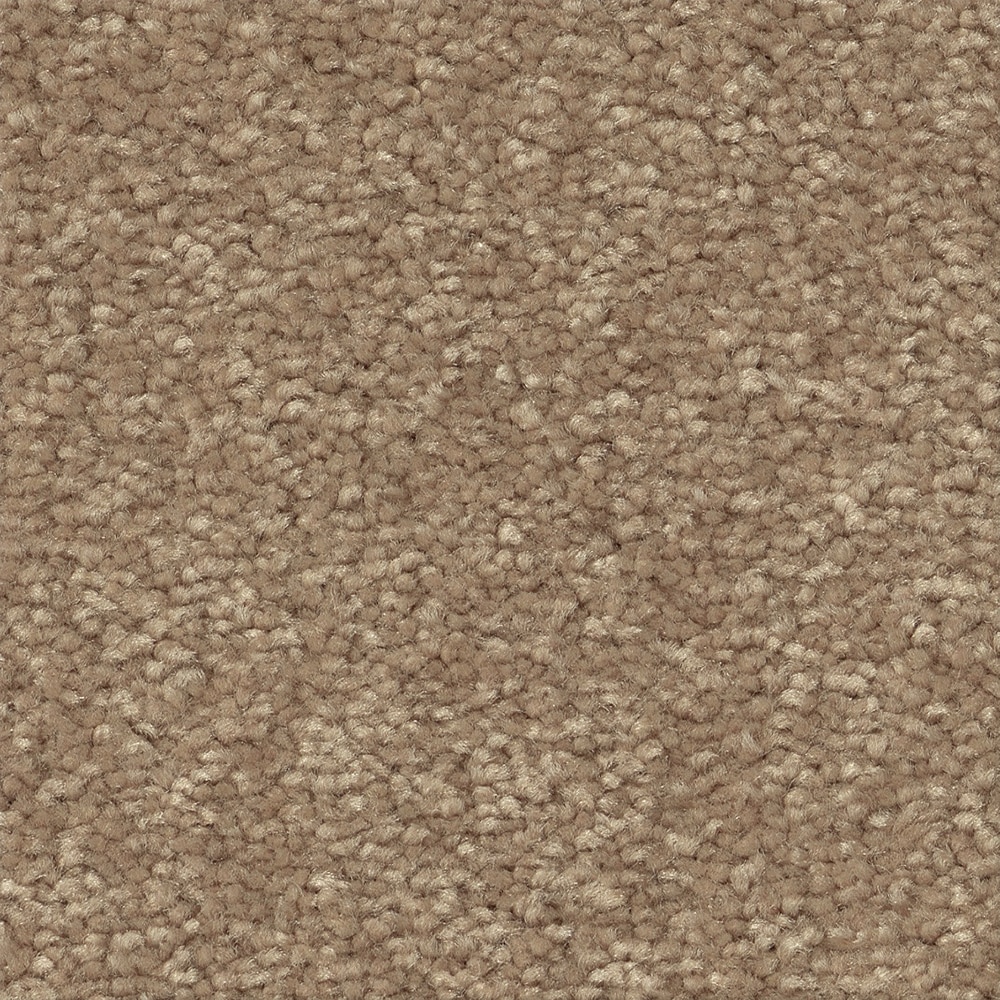 STAINMASTER 7L764-115-SAMP (Sample) Nutria Brown 48.8-oz sq yard Polyester Textured Indoor Carpet