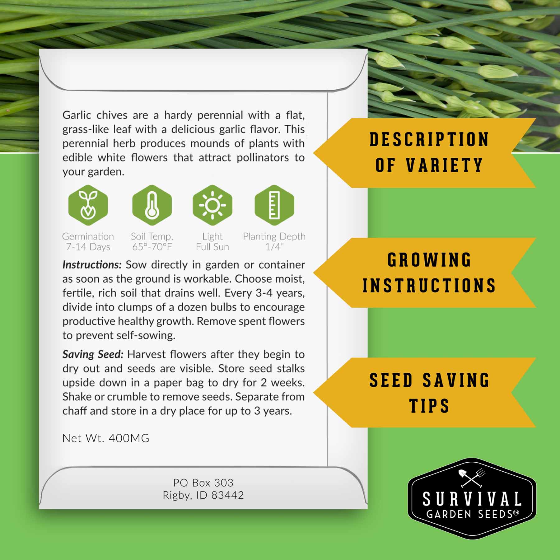 Survival Garden Seeds CHIVESCOLLEC Vegetable-Herb-Seeds - View #3