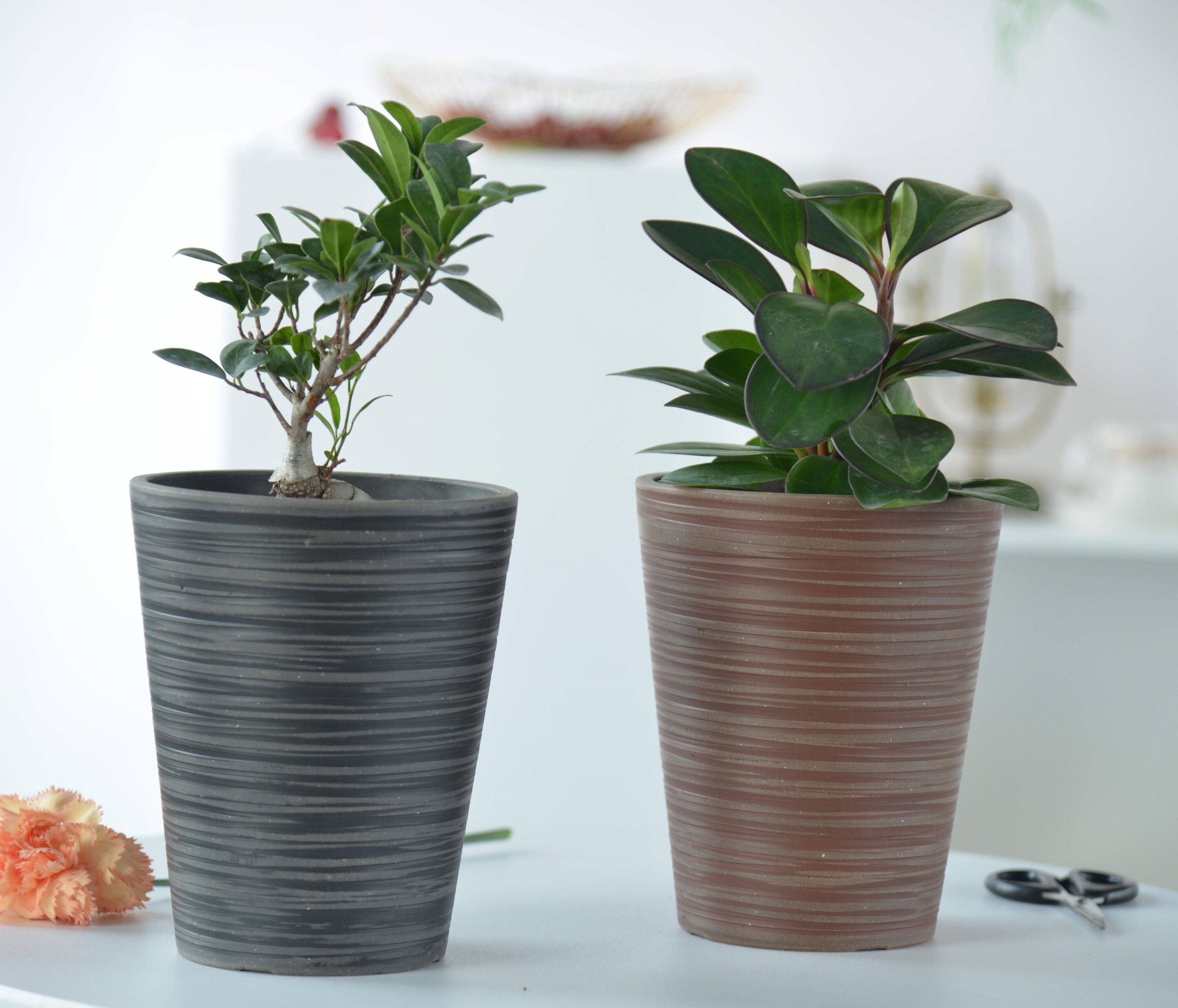 Greenship K2-11TH30BS Planter-Window-Box - View #2