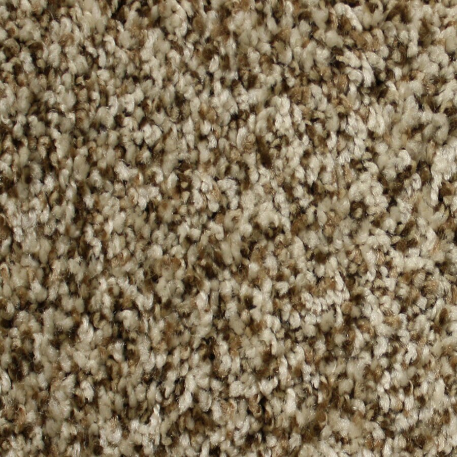 STAINMASTER S418974DODGE CI-IOUS (Sample) Essentials Notorious Dodge City Plush Carpet