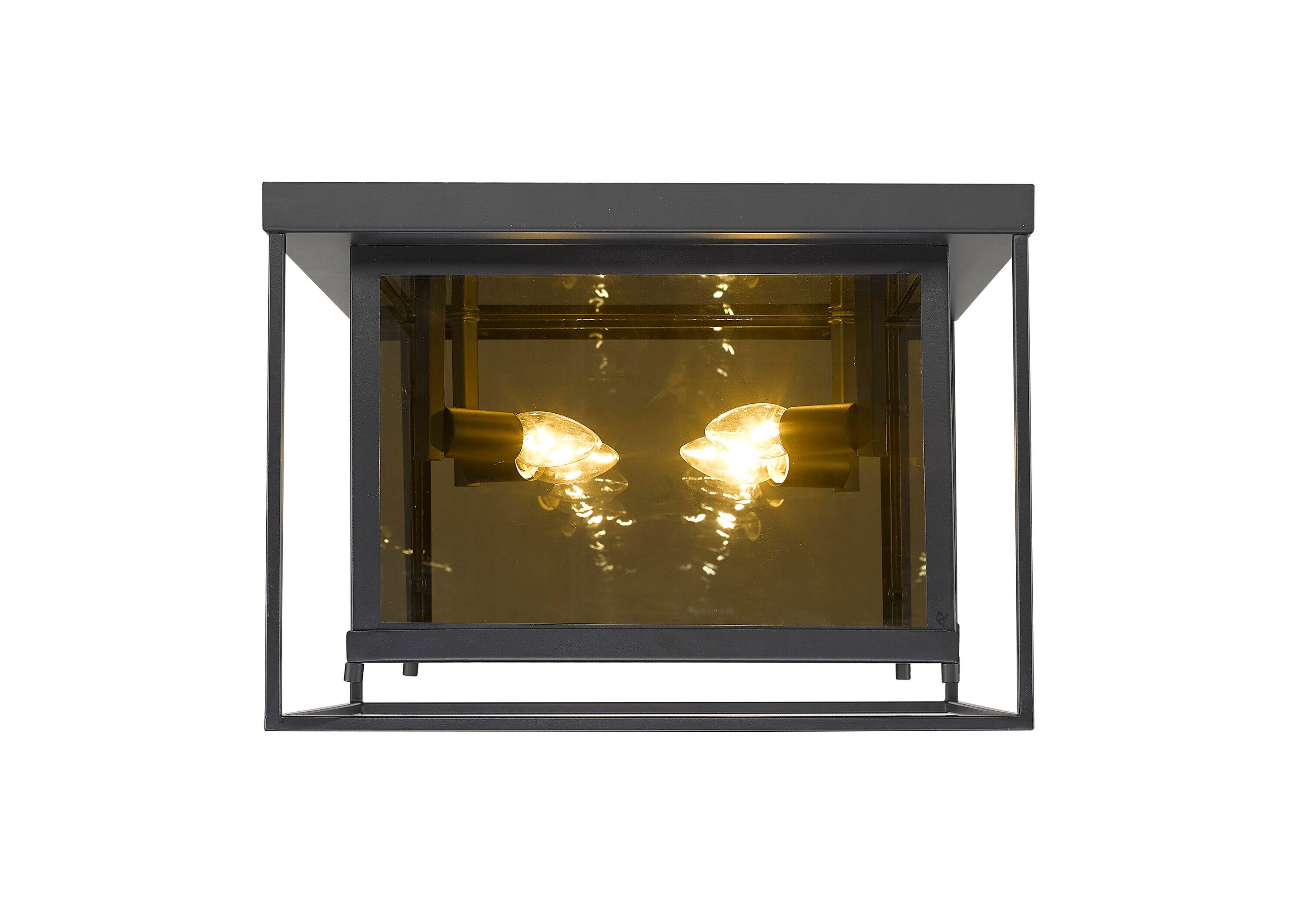 Z-Lite 802F16-MC flushmounts - View #2