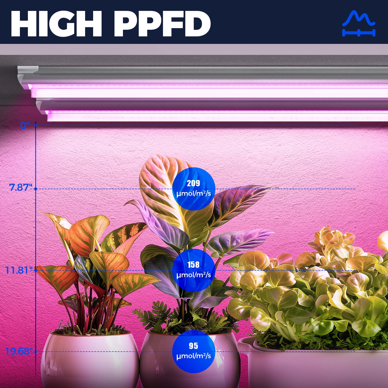 Aoibox LABYFFBF Grow-Lights - View #3