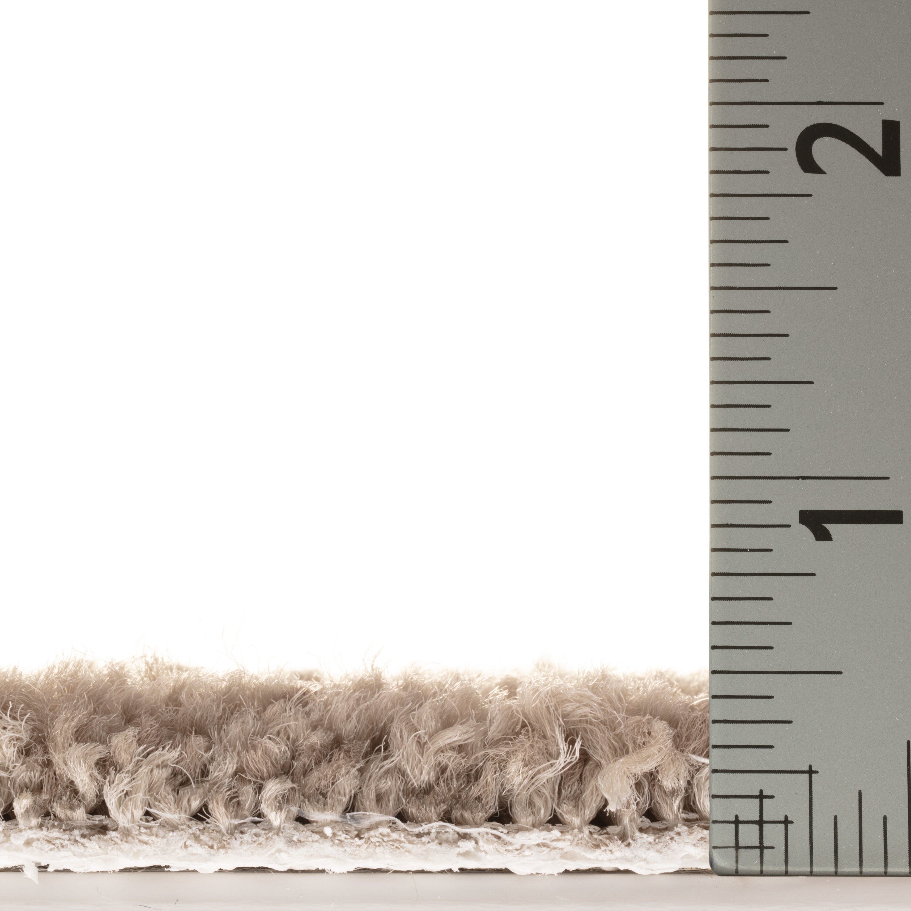 STAINMASTER PetProtect 7L884 - 700 - SAMP Carpet-Samples - View #6