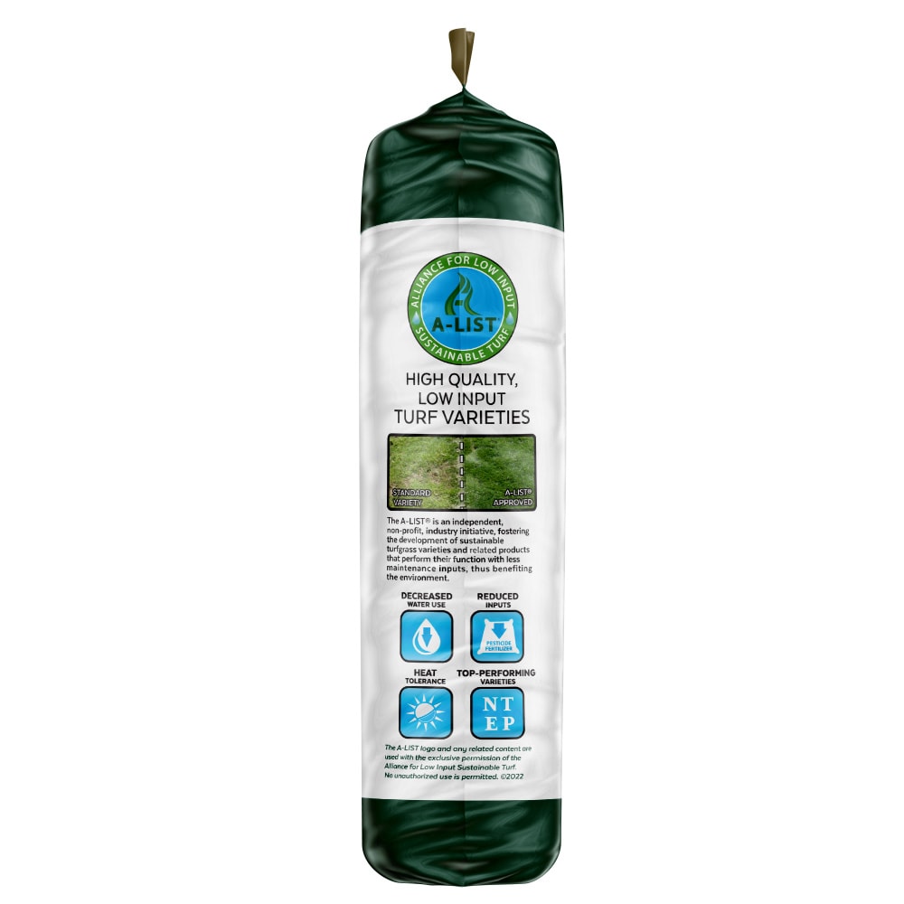 Mountain View Seeds 111990 Grass-Seed - View #4