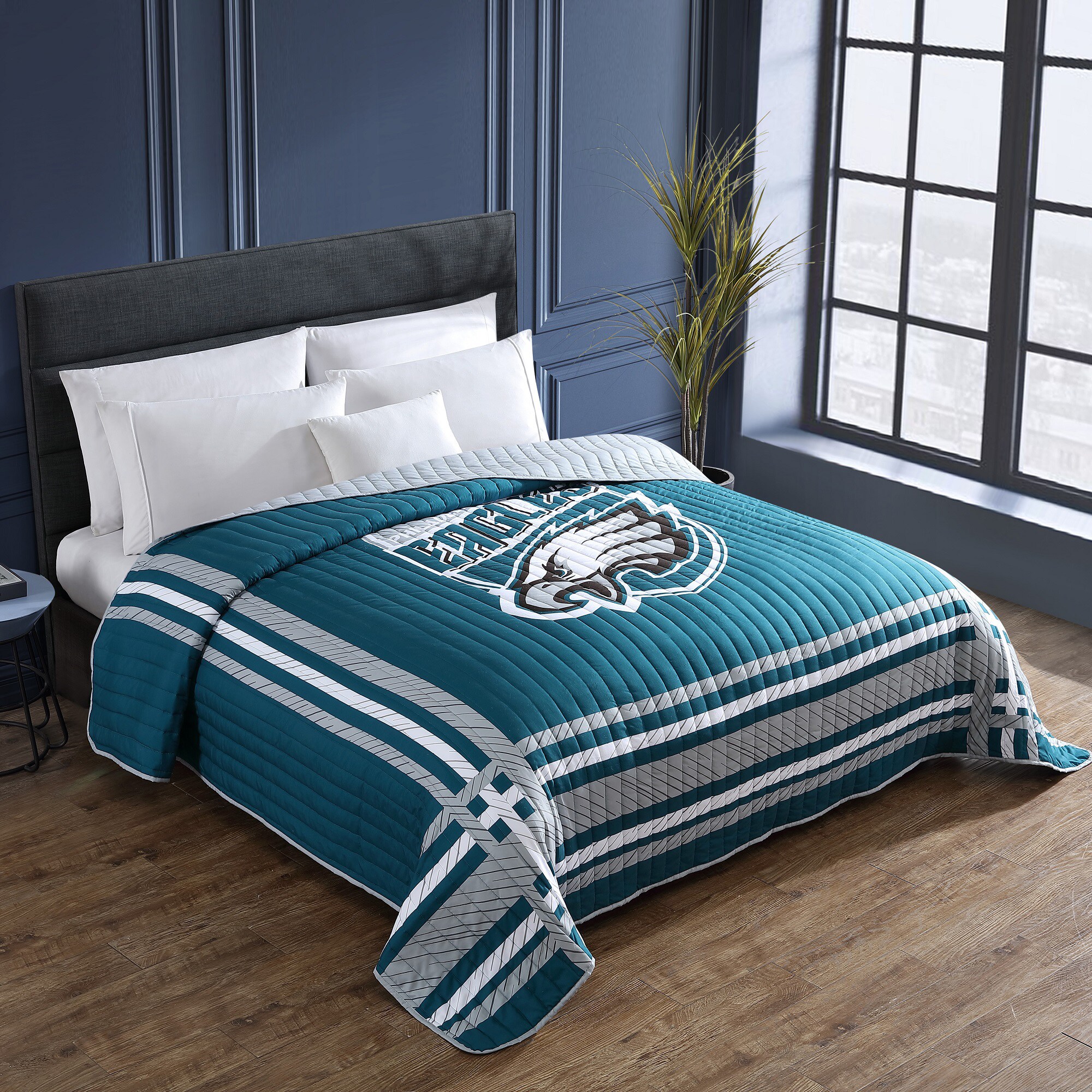 Philadelphia Eagles 60'' x 70'' Ultra Fleece State Stripe Plush Blanket