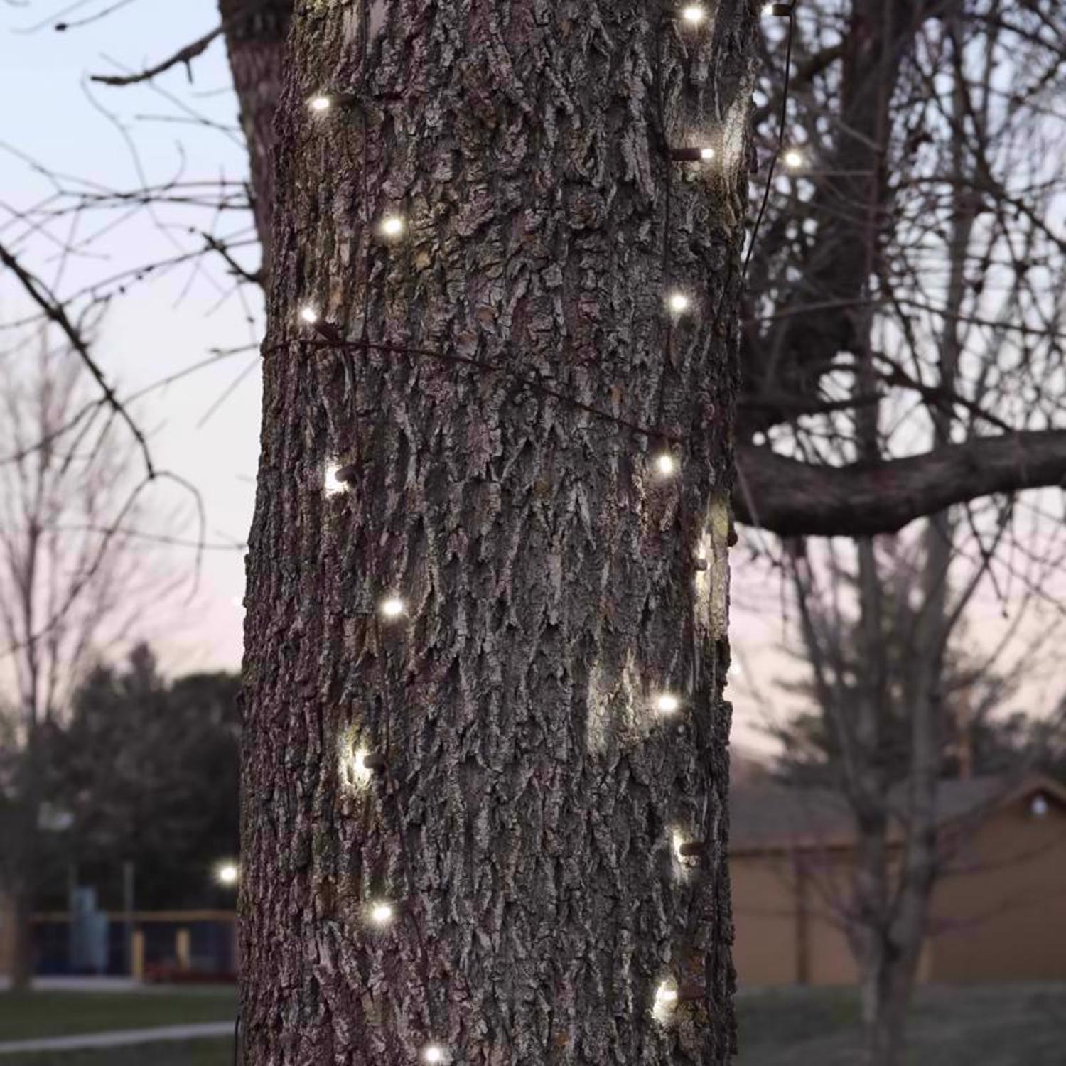 Celebrations EJD9086491 Christmas-String-Lights - View #4