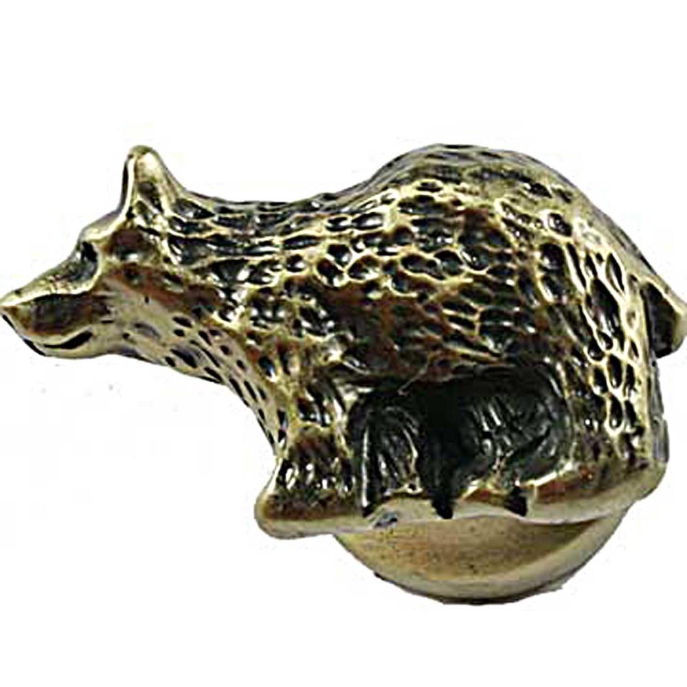 Antique Brass Novelty Rustic Cabinet Knob in Gold | - Sierra Lifestyles 681305