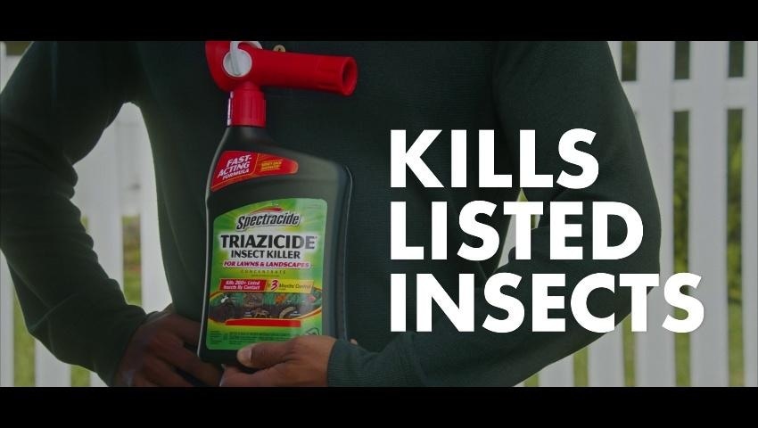 A thumbnail for the video