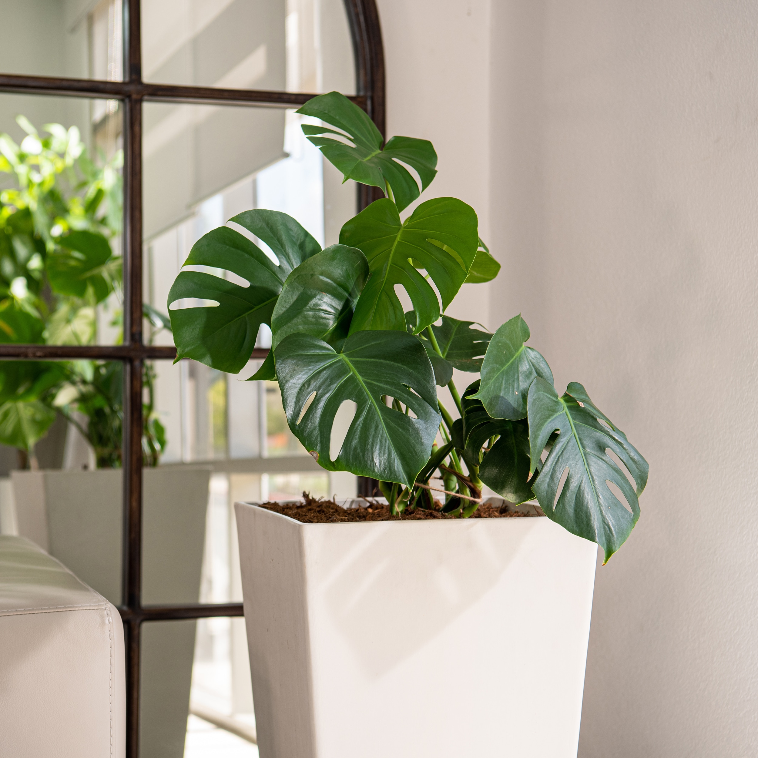 XBrand ALLXN26GRS Planter-Window-Box - View #6