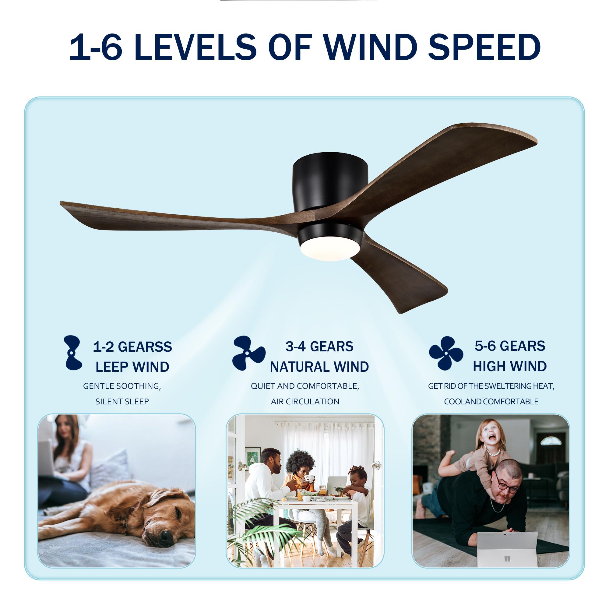 Bayfeve BFHM-78237-CF Ceiling-Fans - View #9
