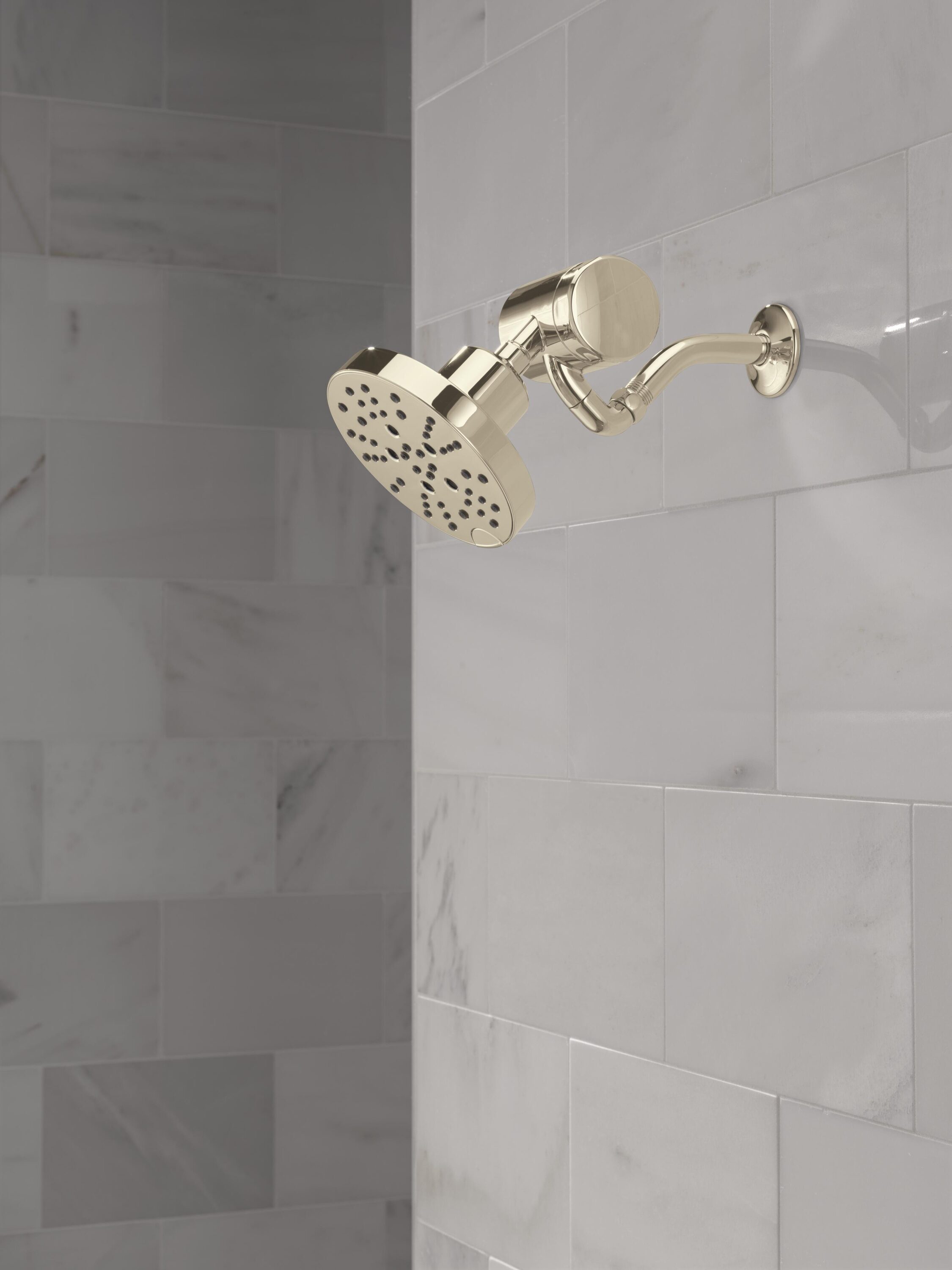 Delta 5SF100-PN Shower-Head-Filters - View #10
