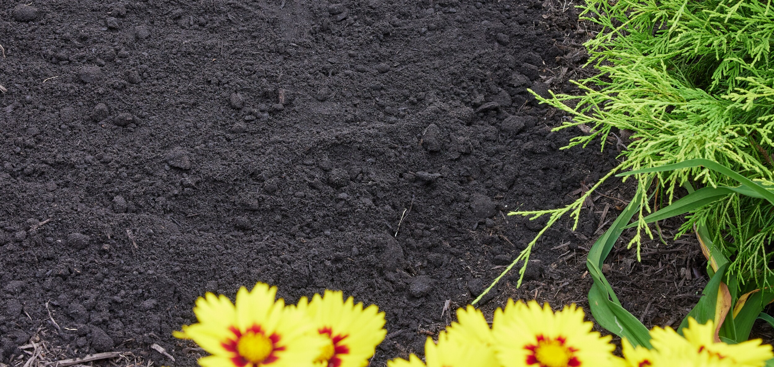 Garick SLTS Garden-Soil-Soil-Amendments - View #4