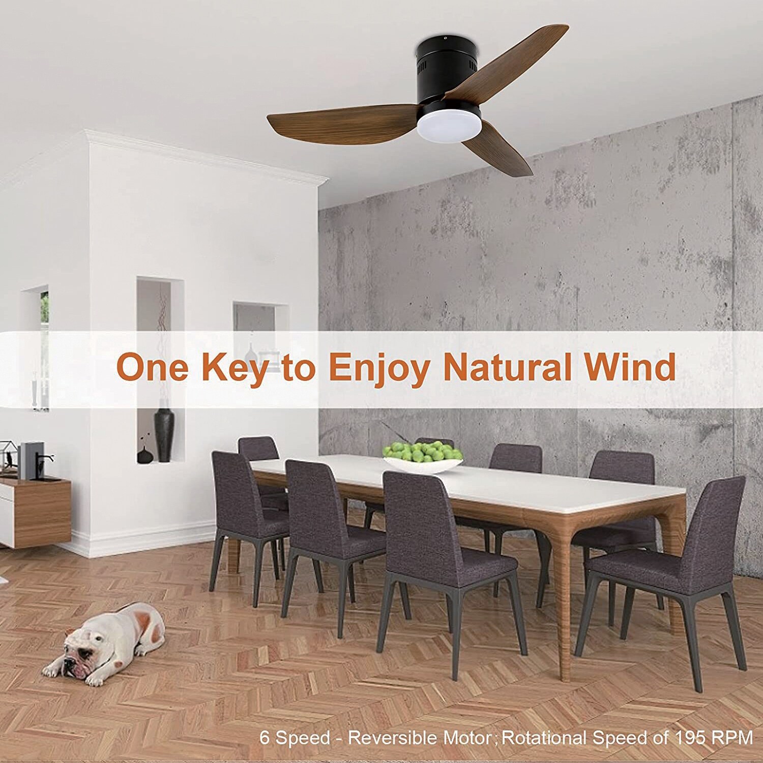 Maincraft D01-CF035 Ceiling-Fans - View #4
