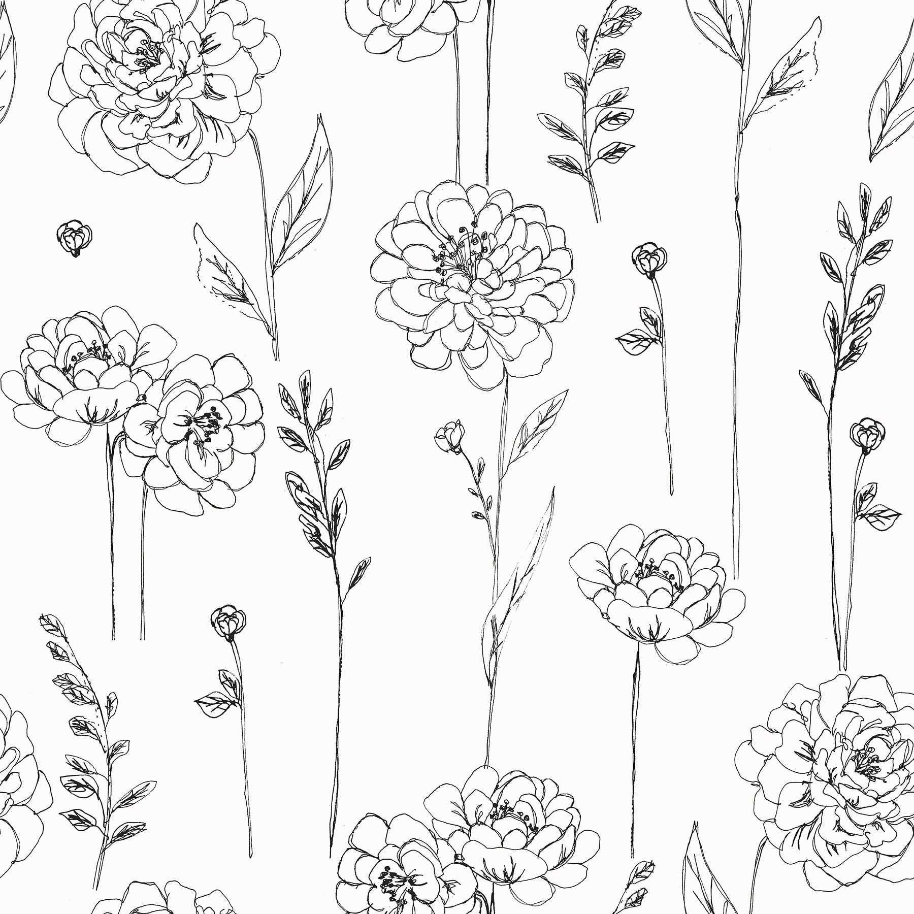 RoomMates RMK12687PLW 30.8-Sq. Feet White Vinyl Floral Self-adhesive Peel and Stick Wallpaper