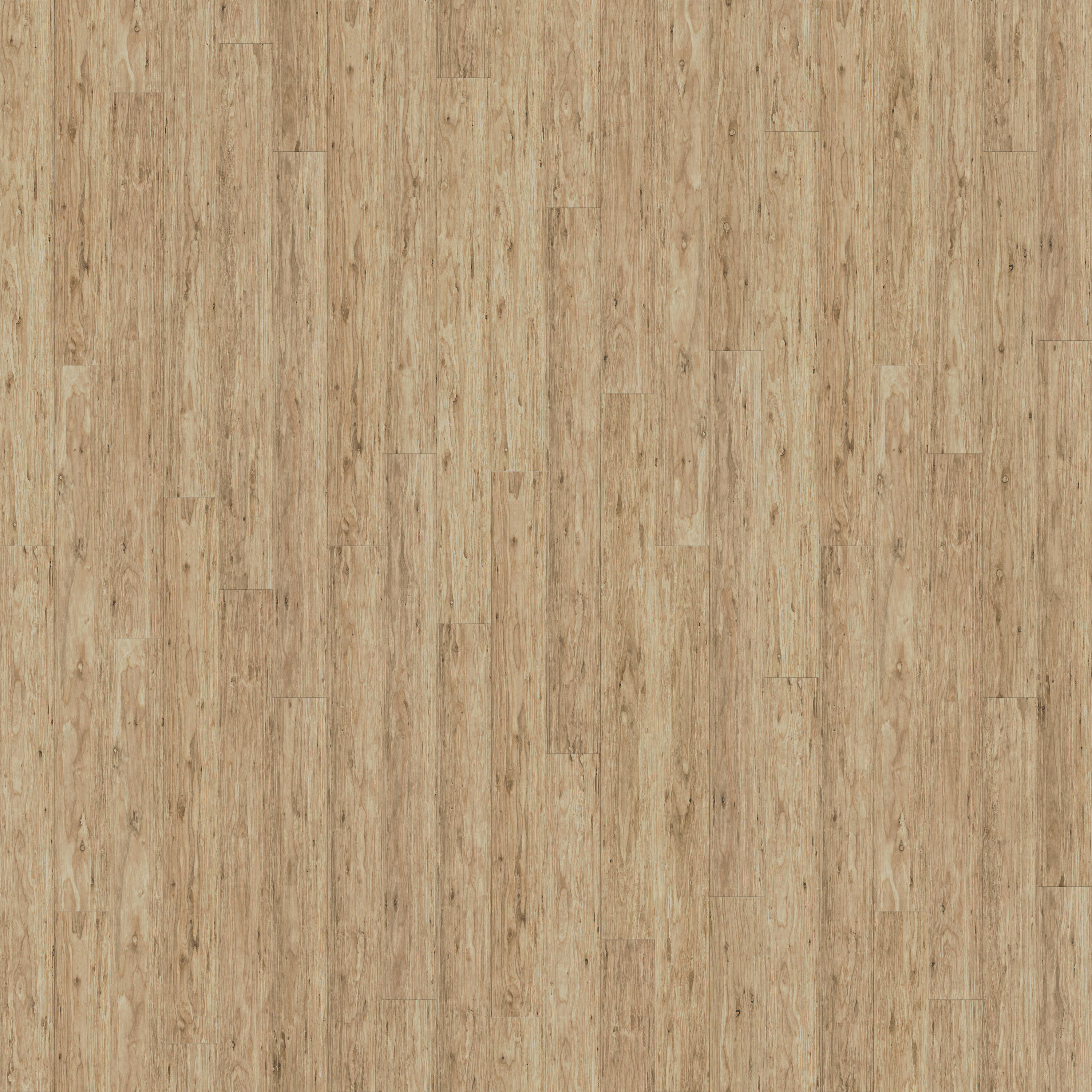 Fossilized Natural Eucalyptus 5-1/8-in W x 9/16-in T x Smooth/Traditional Solid Hardwood Flooring (27.3-sq ft) in Gold | - CALI 7007007600