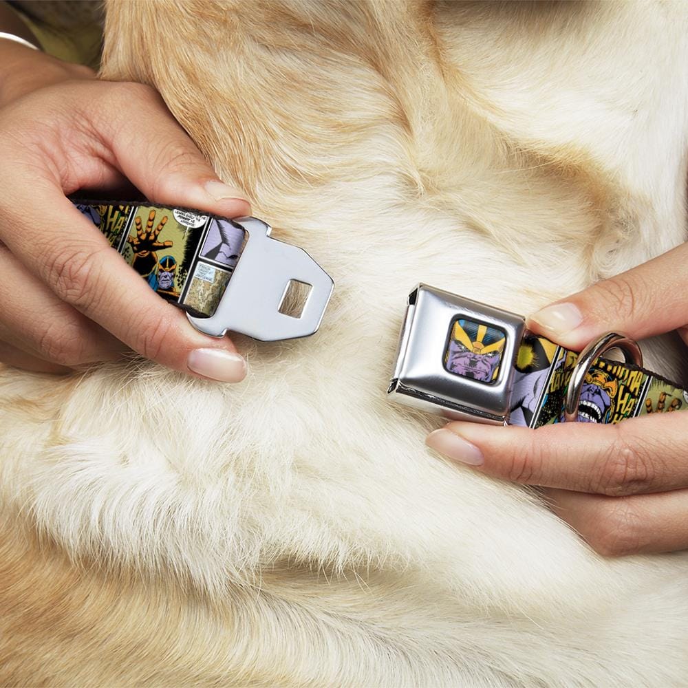 Buckle-Down DC-WMC149-WS Dog-Collars-Harnesses - View #2