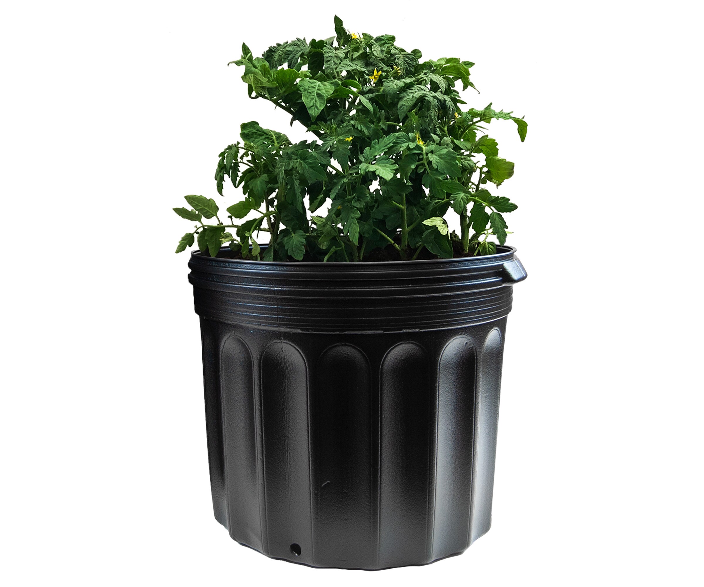 Medium Black BPA-Free Plastic Round Nursery Pots, 24-Pack