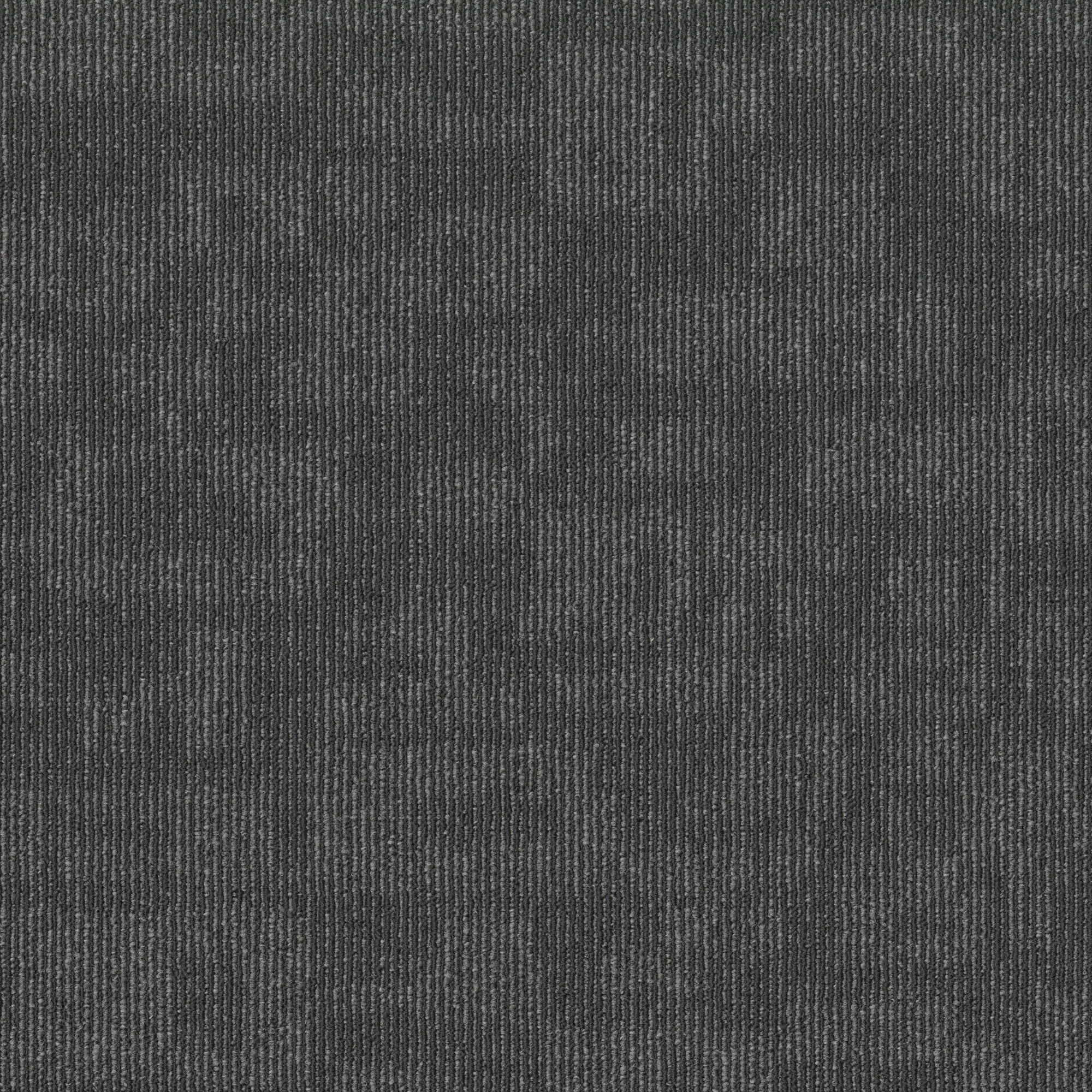 Shaw 7P0UU00505 Sway 24-in x 24-in Burmese Gray Commercial Adhesive Indoor Carpet Tile ( 80-sq ft )