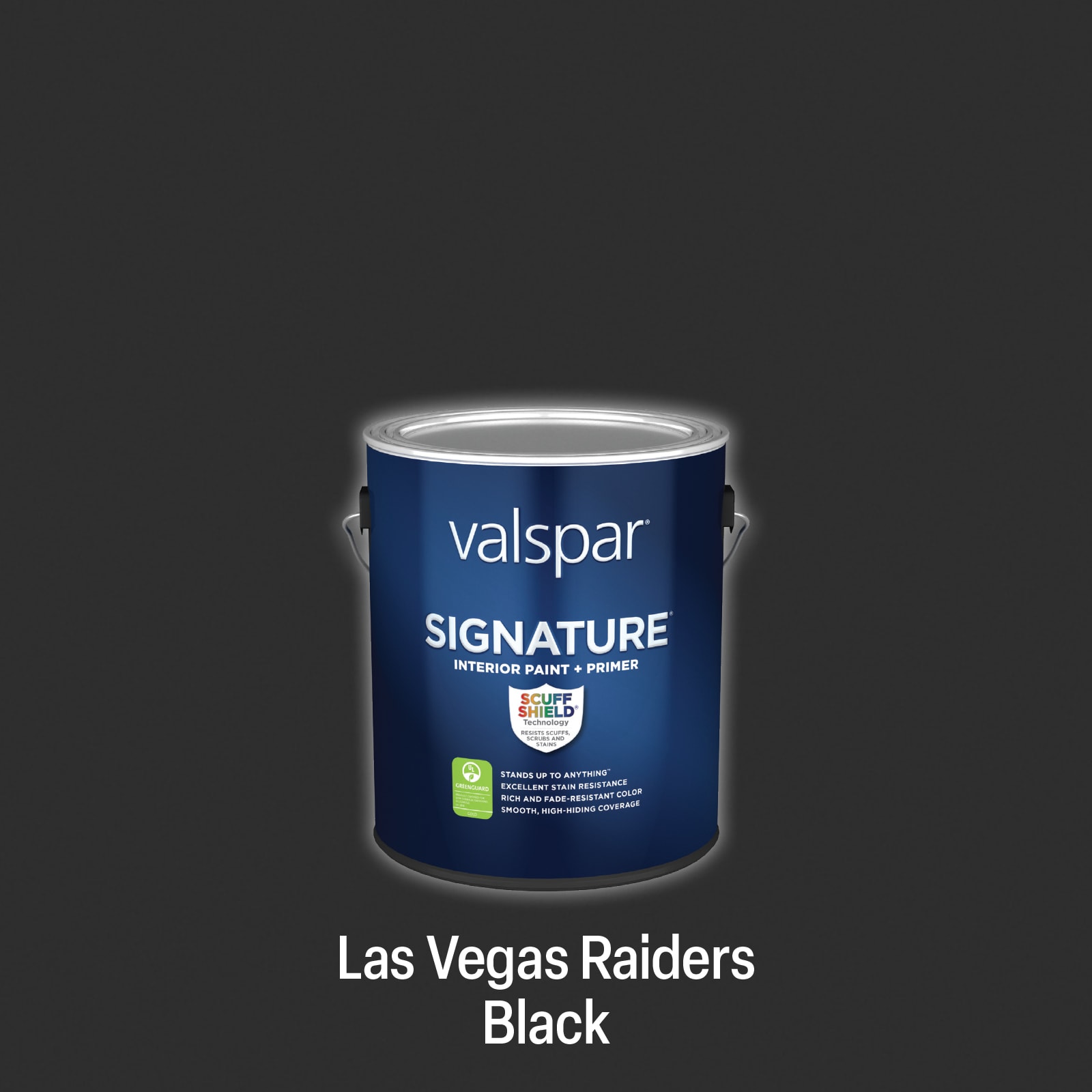 Shop Valspar Las Vegas Raiders Paint Project Kit at