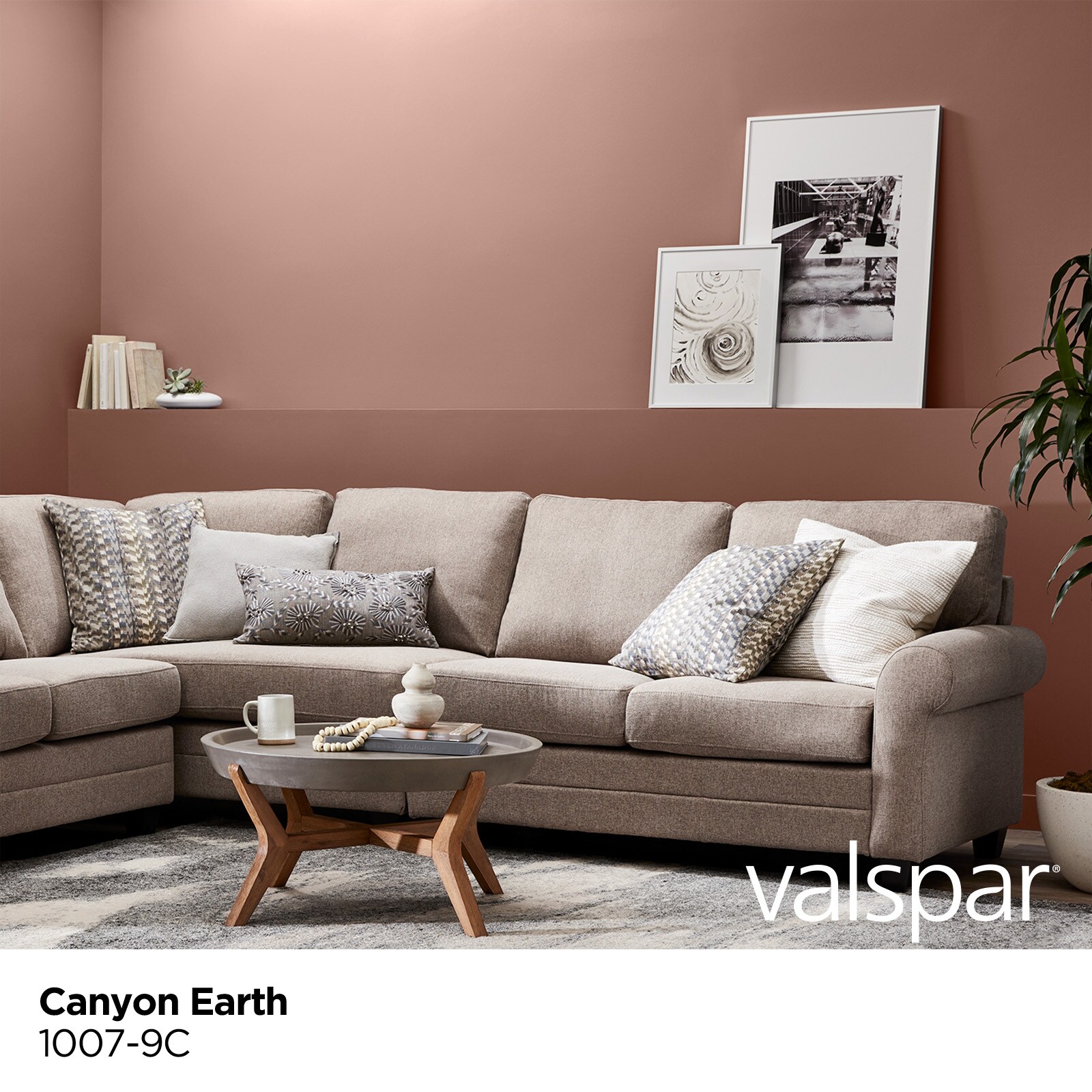 Valspar 1007-9C Paint-Samples - View #2