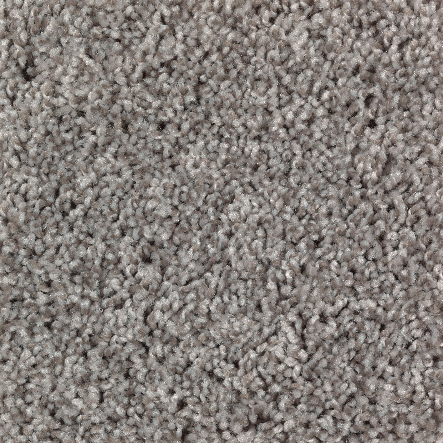 Style Selections CCV06-L019-0808 (Sample) Franklin Place Smooth Taupe Brown 40-oz sq yard Polyester Textured Indoor Carpet