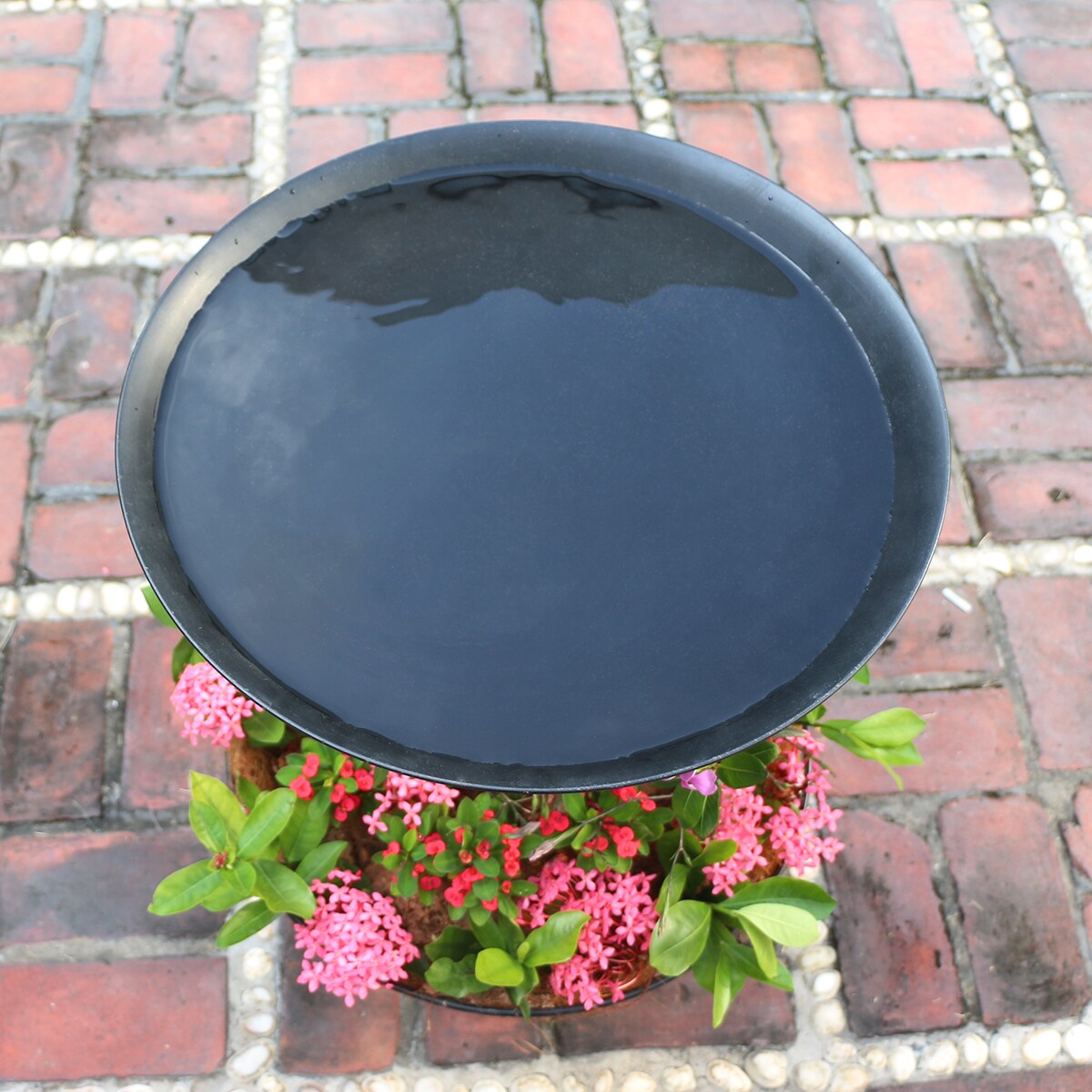 Style Selections A06-698 birdbaths - View #3