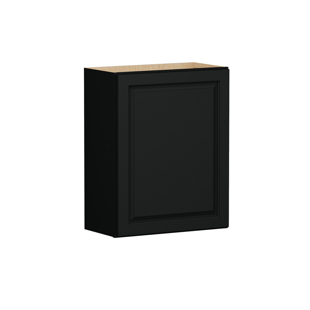 Shenandoah Stemson 21-in W x 30-in H x 12-in D Black Painted Wall Fully Assembled Cabinet Raised Panel Raised panel