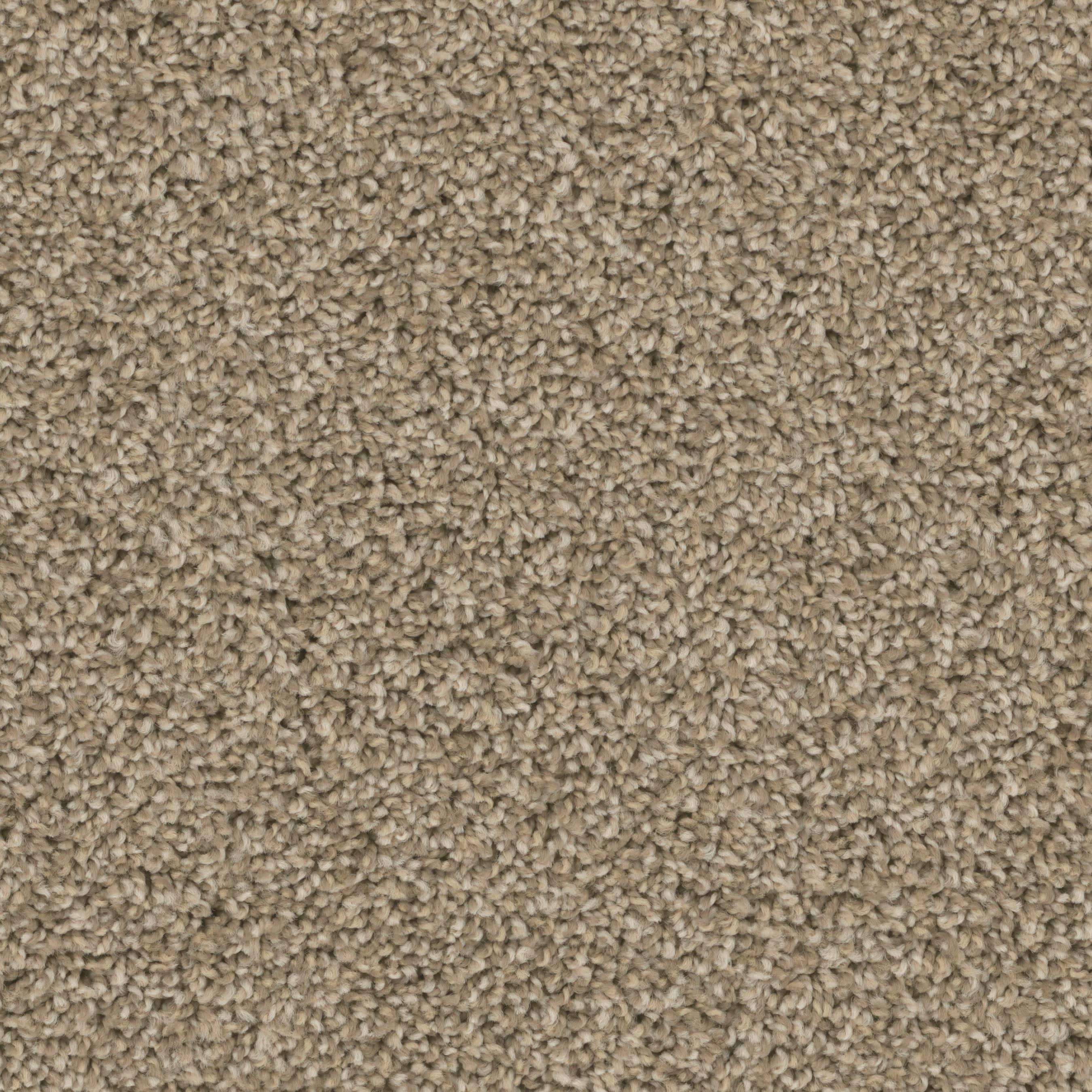 STAINMASTER PetProtect S9340-824-S (Sample) Druid Hills Integrity Multi-Colored 40-oz sq yard Nylon Textured Indoor Carpet