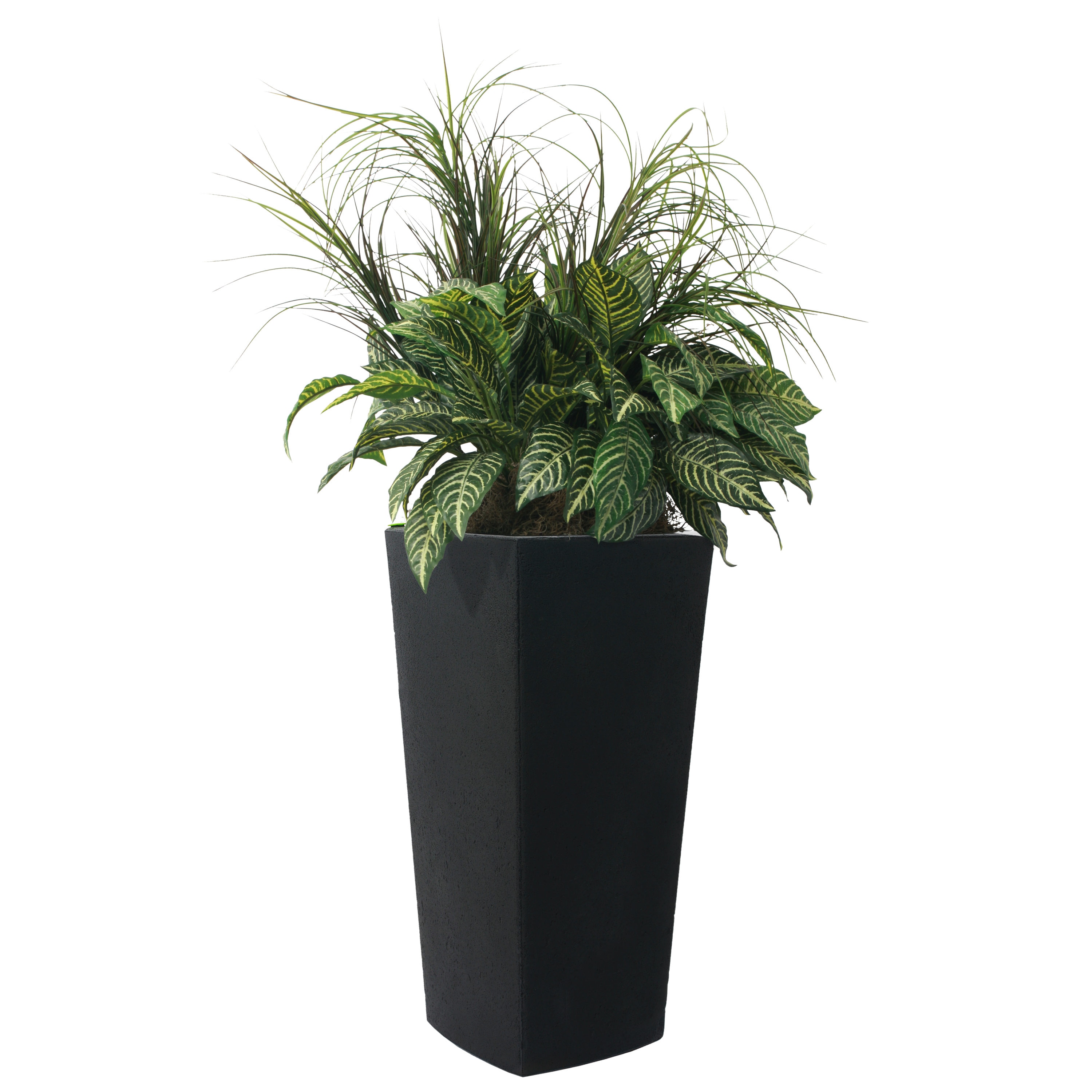 Black Tall Square Self-Watering Plastic Planter