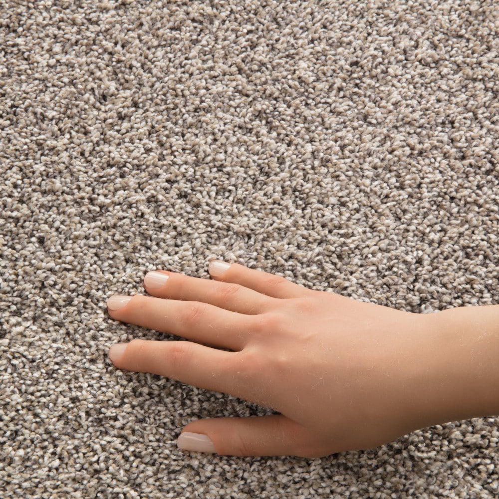 STAINMASTER PetProtect 7L965-121-SAMP Carpet-Samples - View #4