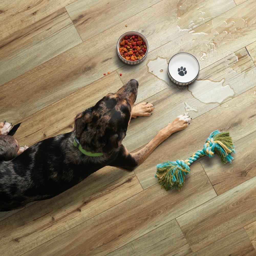 SMARTCORE LX92500252 Vinyl-Plank - View #6