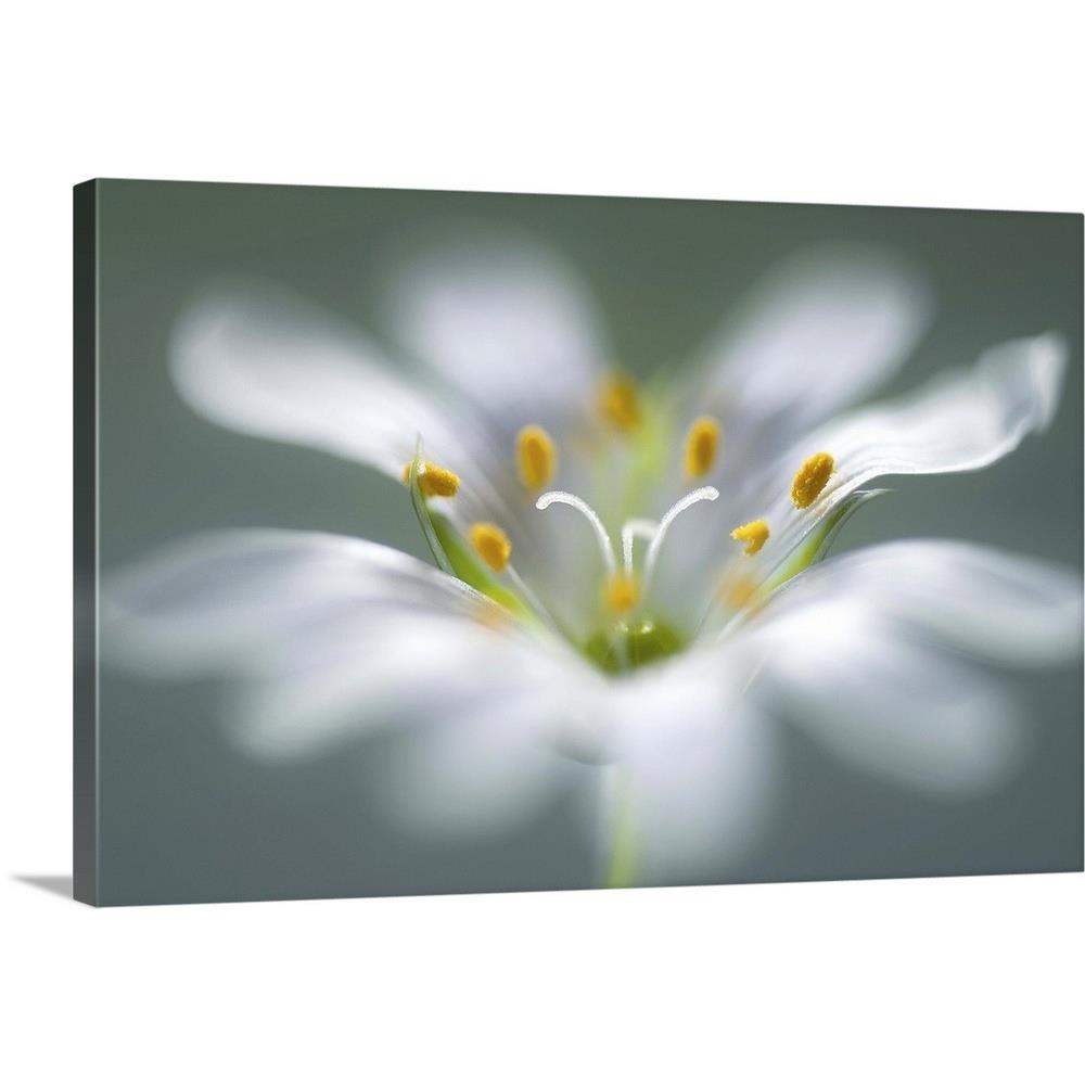 GreatBigCanvas 2353745-24-36X24 24-in H x 36-in W Abstract Print on Canvas
