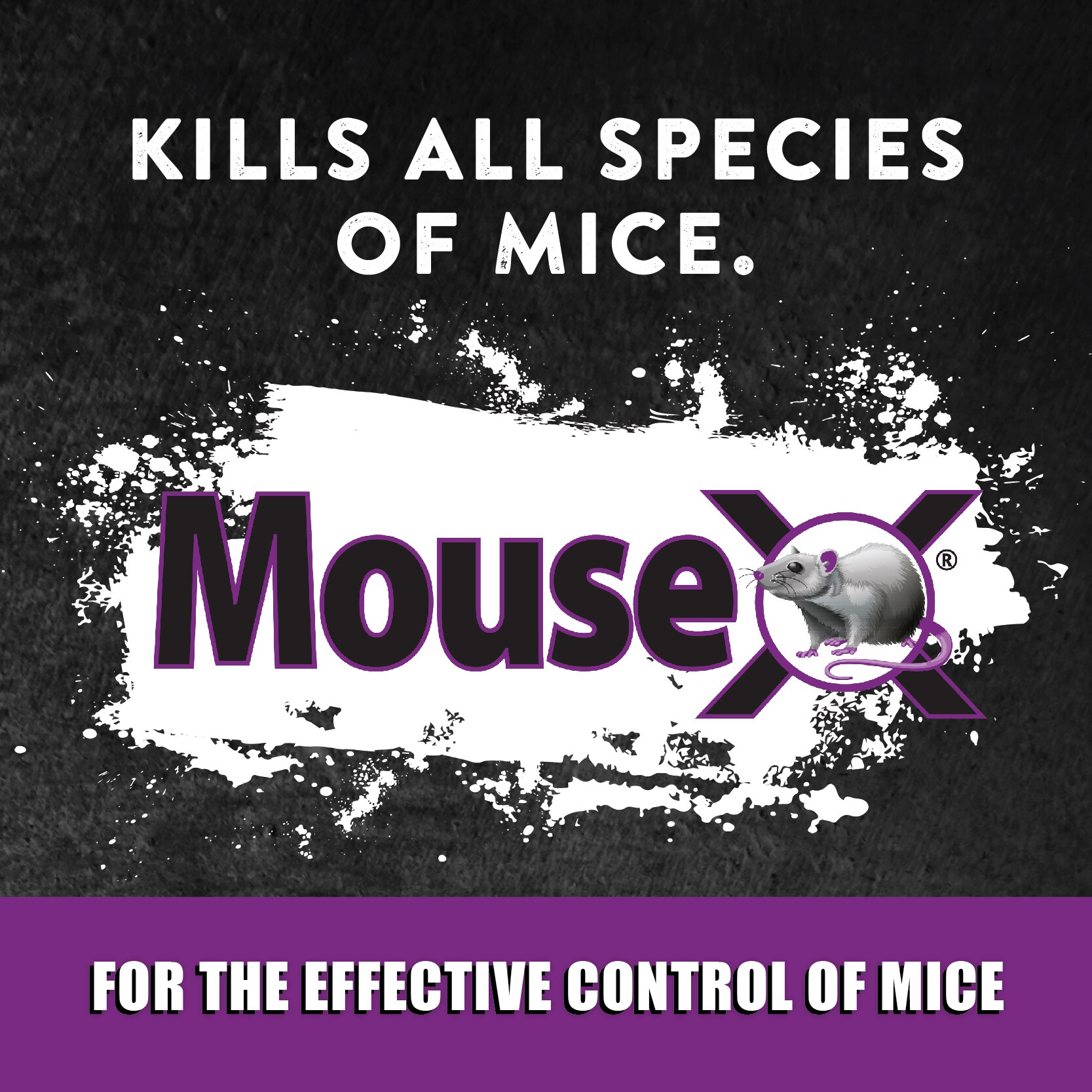 MouseX 620206 Animal-Rodent-Control - View #3