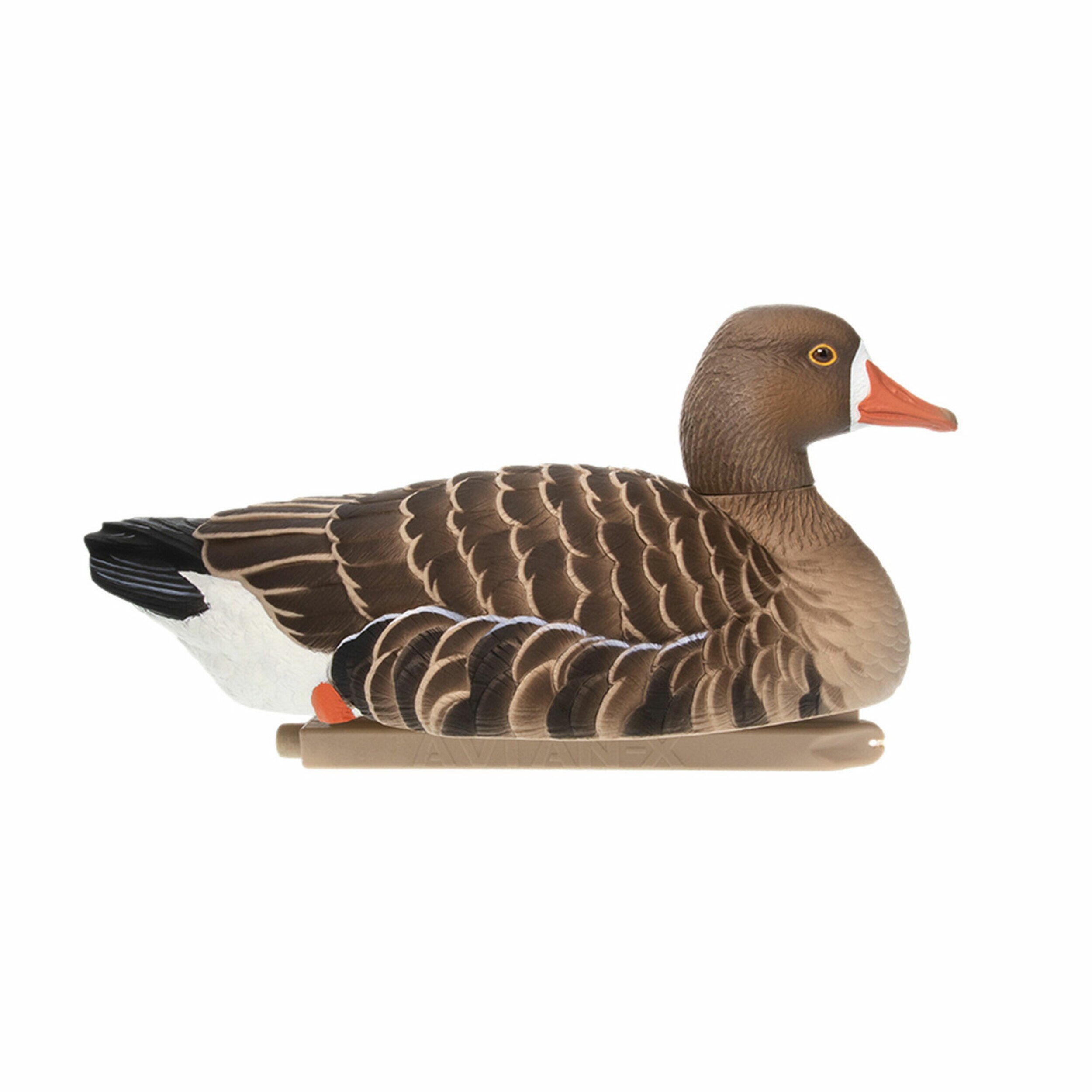  Avian X 399286 Hunting-Equipment - View #10