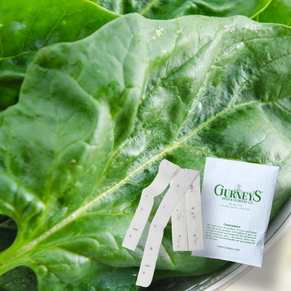 Gardens Alive! 69573 7.5 Feet long Spinach Goliath Seed Tapes Seeds 2 Count