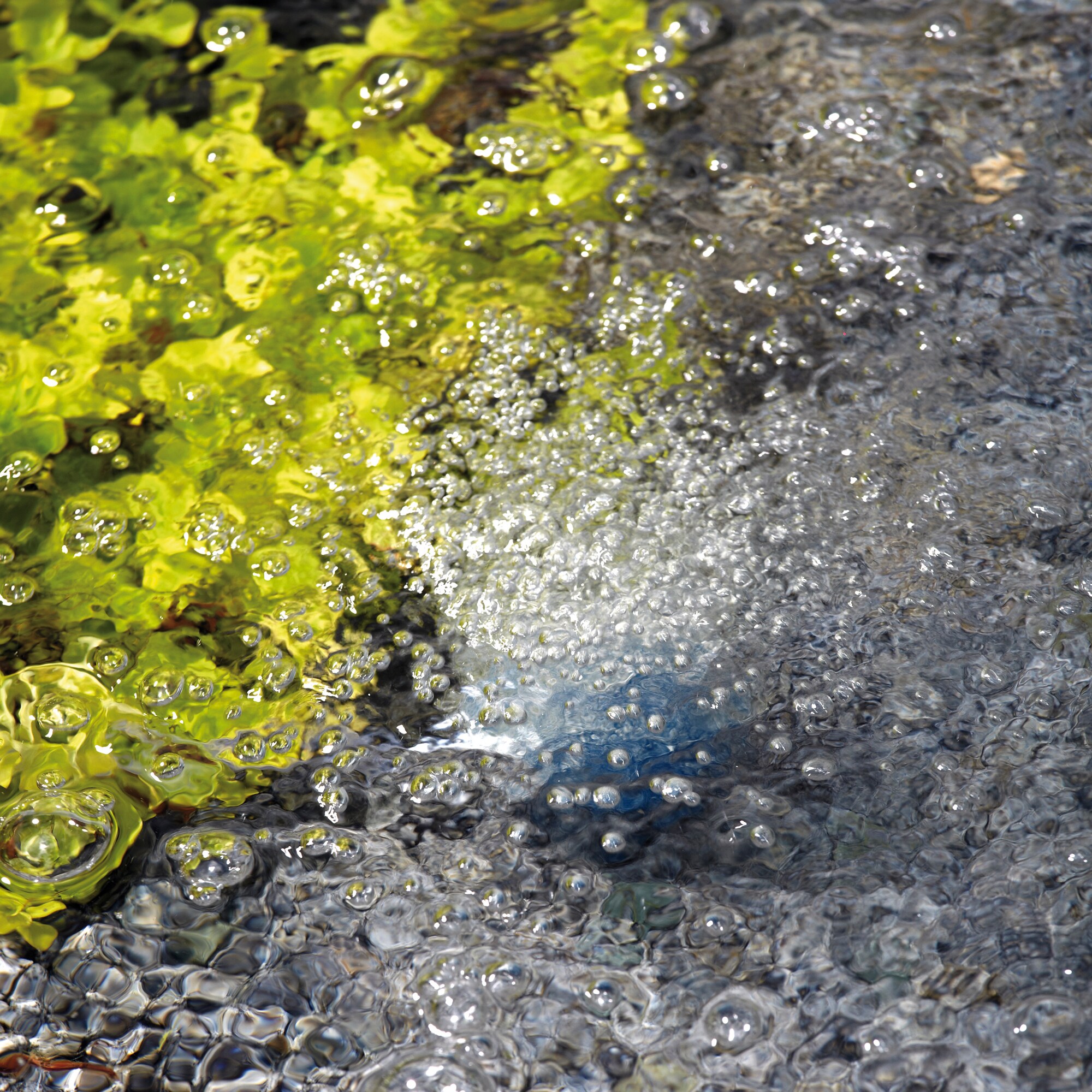 OASE 50041 Pond-Accessories - View #5