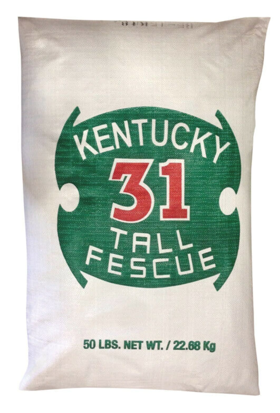 Kentucky 31 Grass Seed at