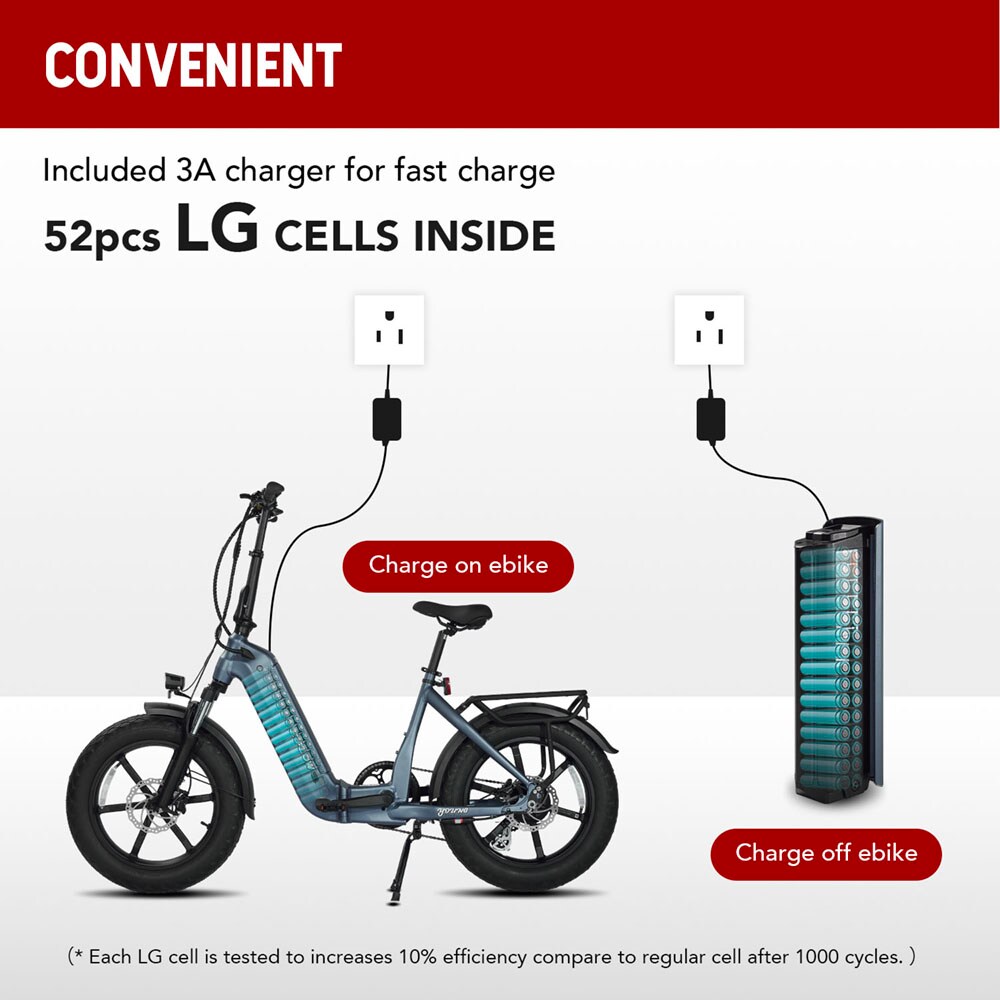 Young Electric 12803020DB bikes - View #6