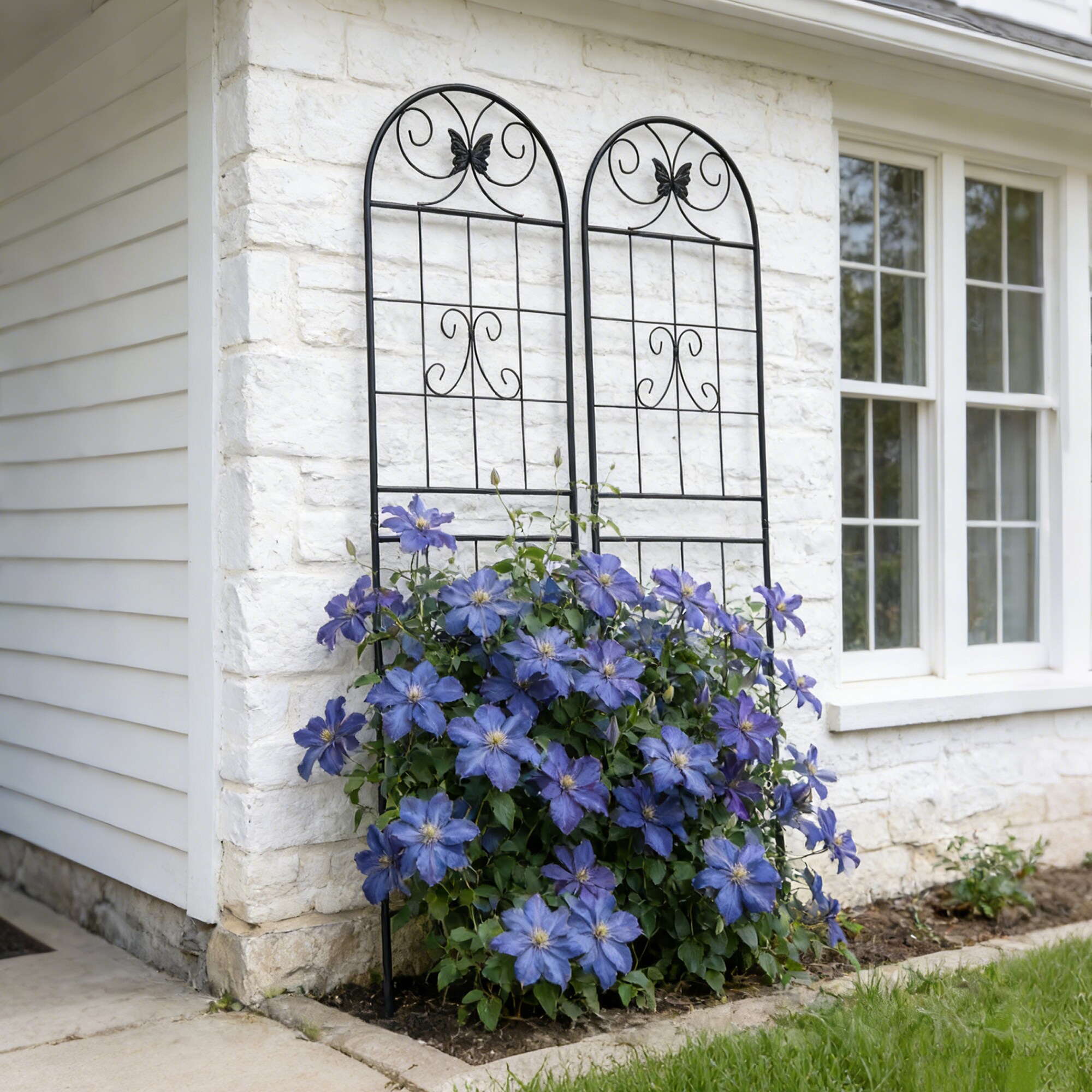 Wooakway FXLS0609-604A124 Garden-Trellis - View #4