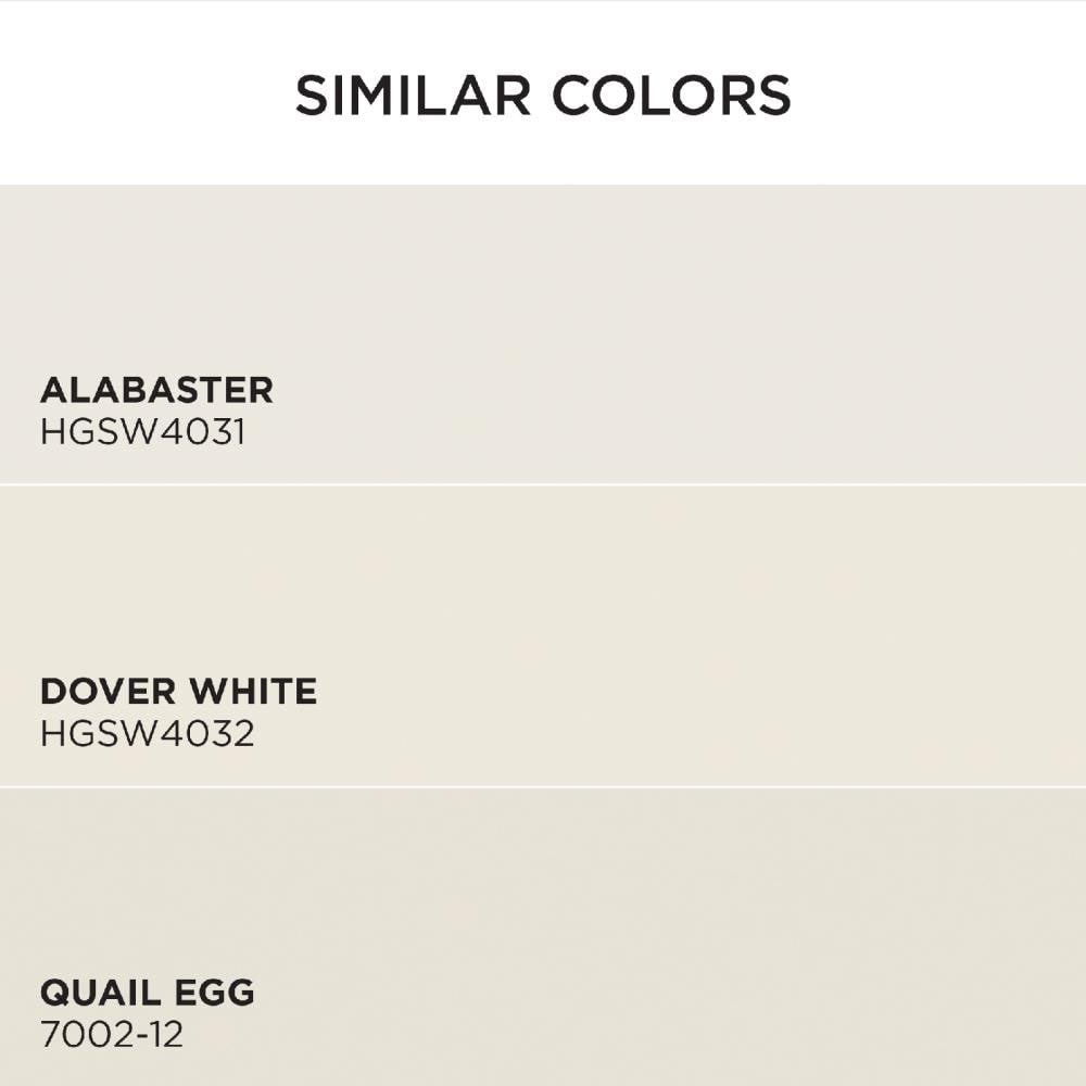 HGTV HOME by Sherwin-Williams HGSW4030-2557216 Int-Ext-Paint - View #6