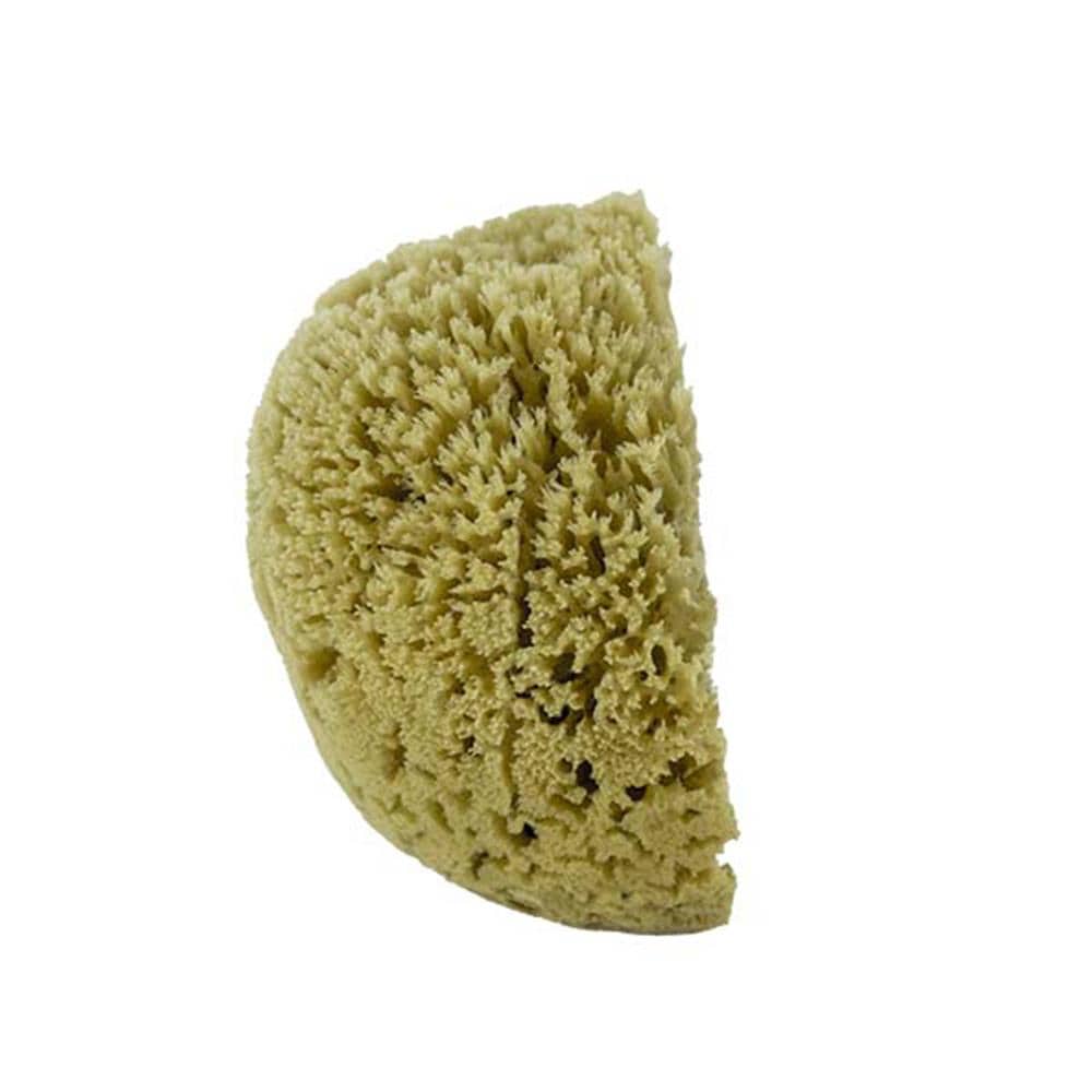 Natural Sea Sponges for Artists - Unbleached 5-5.5 2pc Value Pack: Great  for Painting, Decorating, Texturing, Sponging, Marbling Effects, Faux  Finishes, Crafts, More : : Home & Kitchen