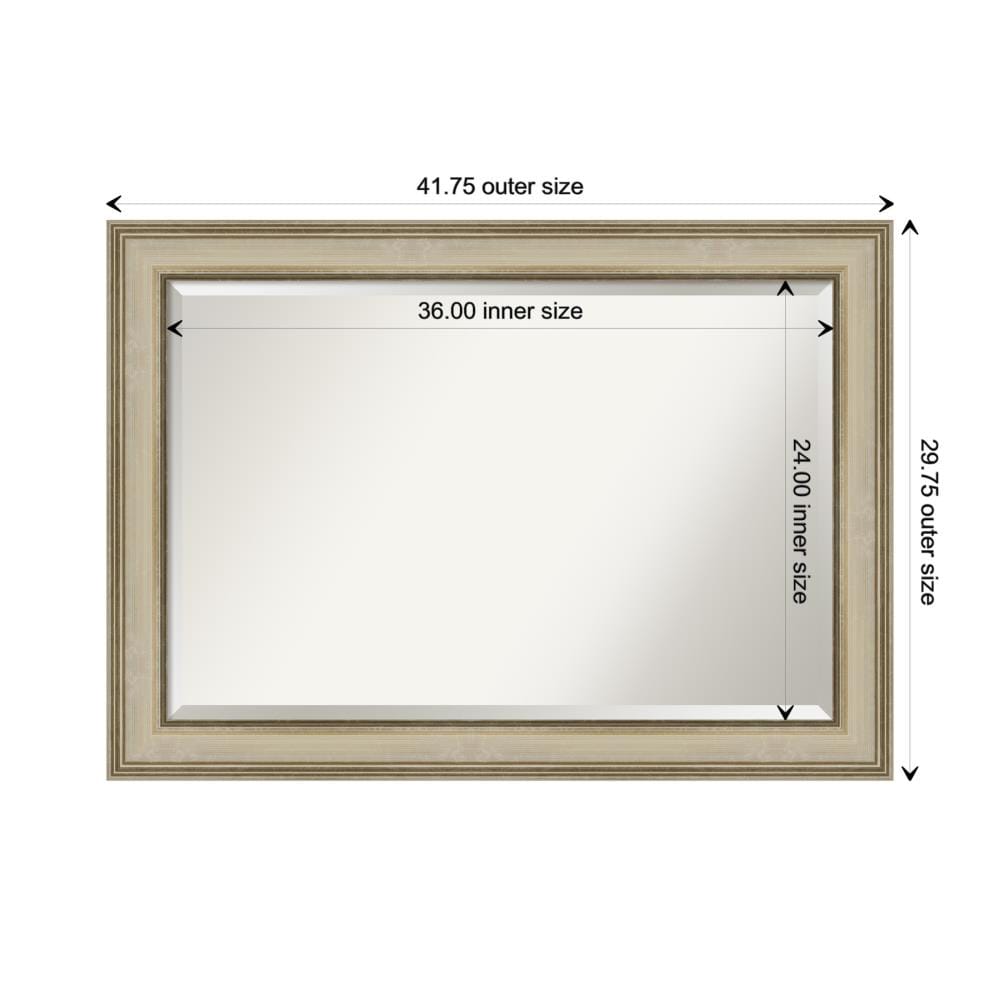 Amanti Art Colonial Light Gold Frame 41.75-in x 29.75-in Framed ...