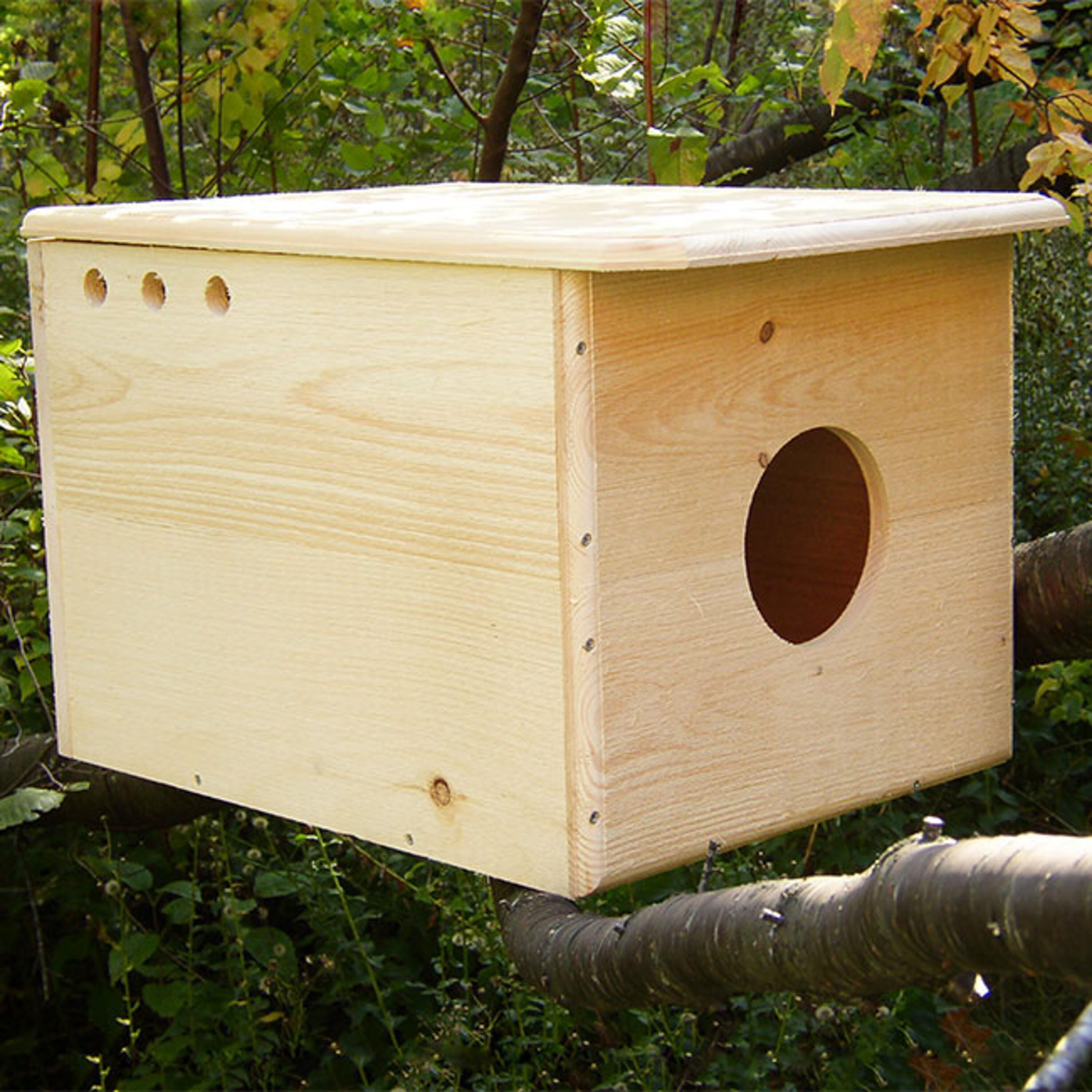 Coveside Conservation COV-10180 17-Inches H Natural Wood Chickadees Bird house accessories Predator Proof Bird House