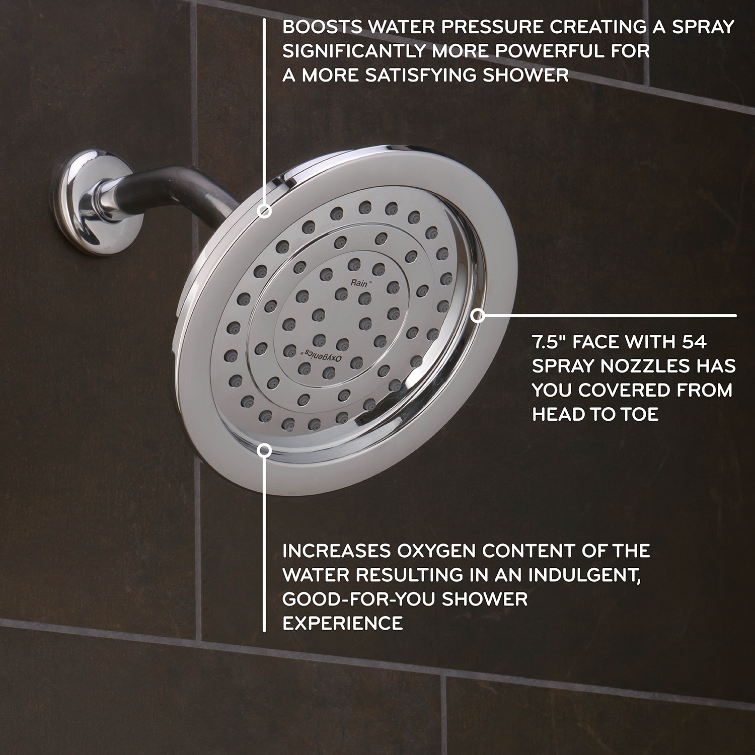 Oxygenics 45268 Fixed-Showerhead - View #2