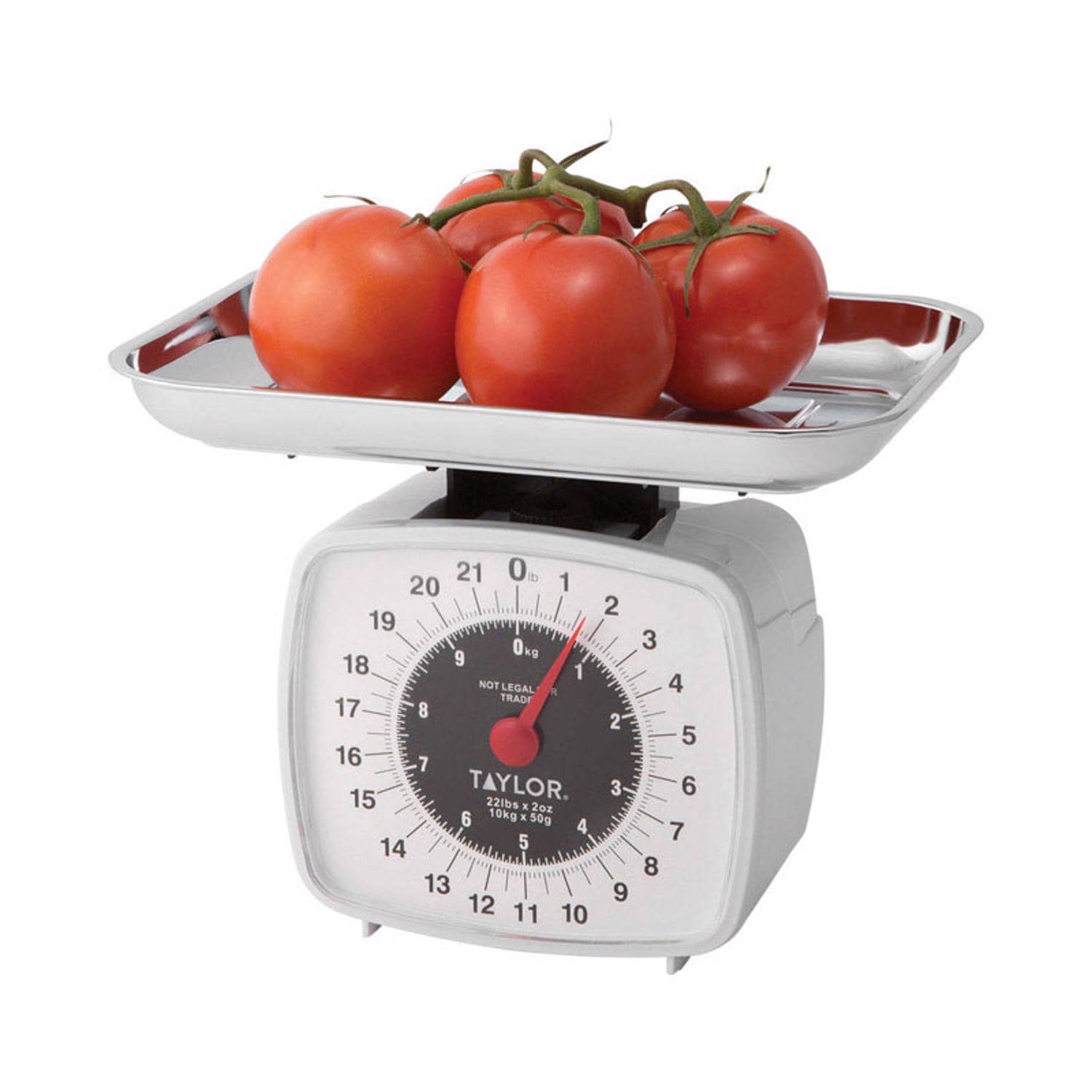 Taylor - White Analog Kitchen Scale 22 lb