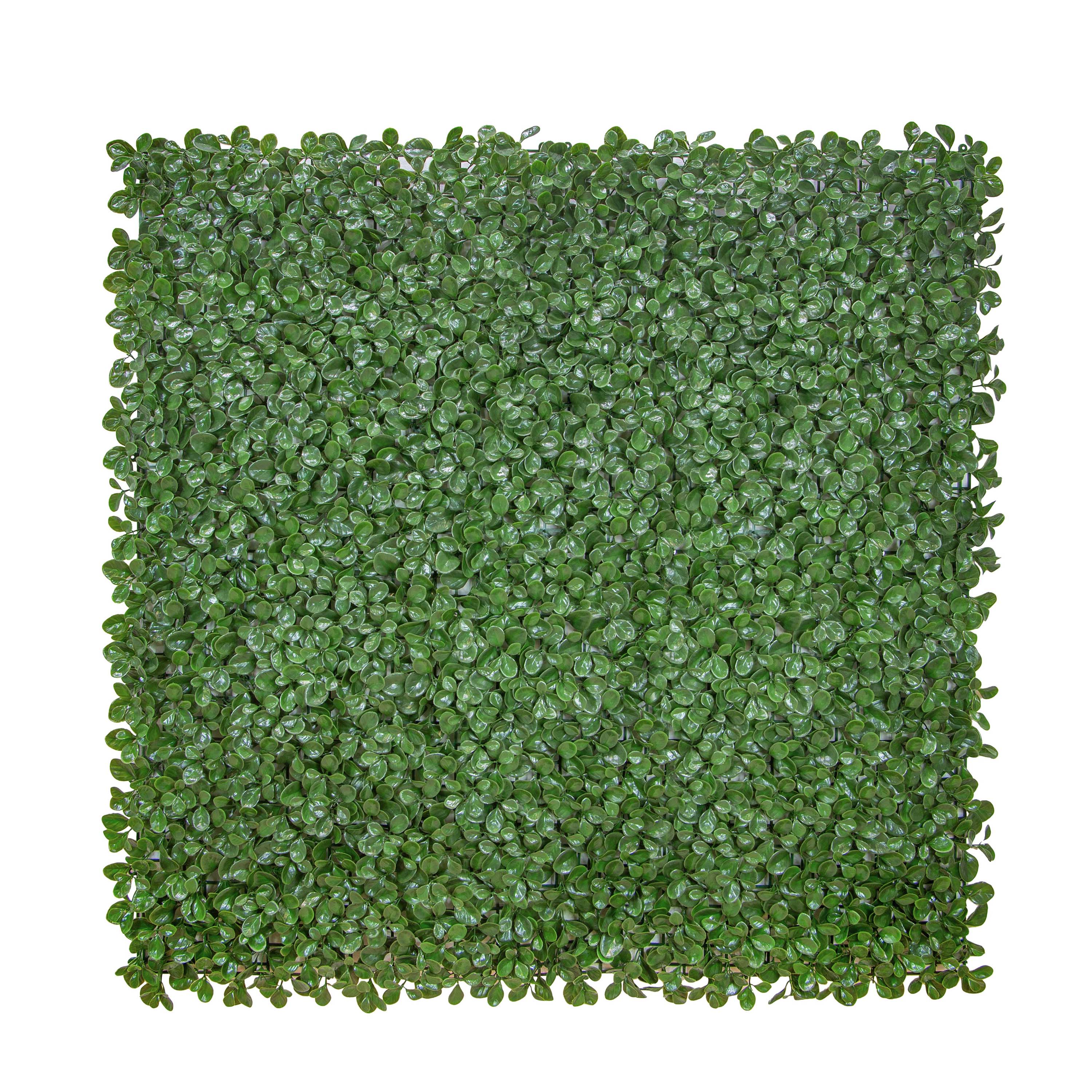everhome LWHEDGE0431 39.37-Inches W x 39.37-Inches H Green/Glossy Leaf Garden Trellis
