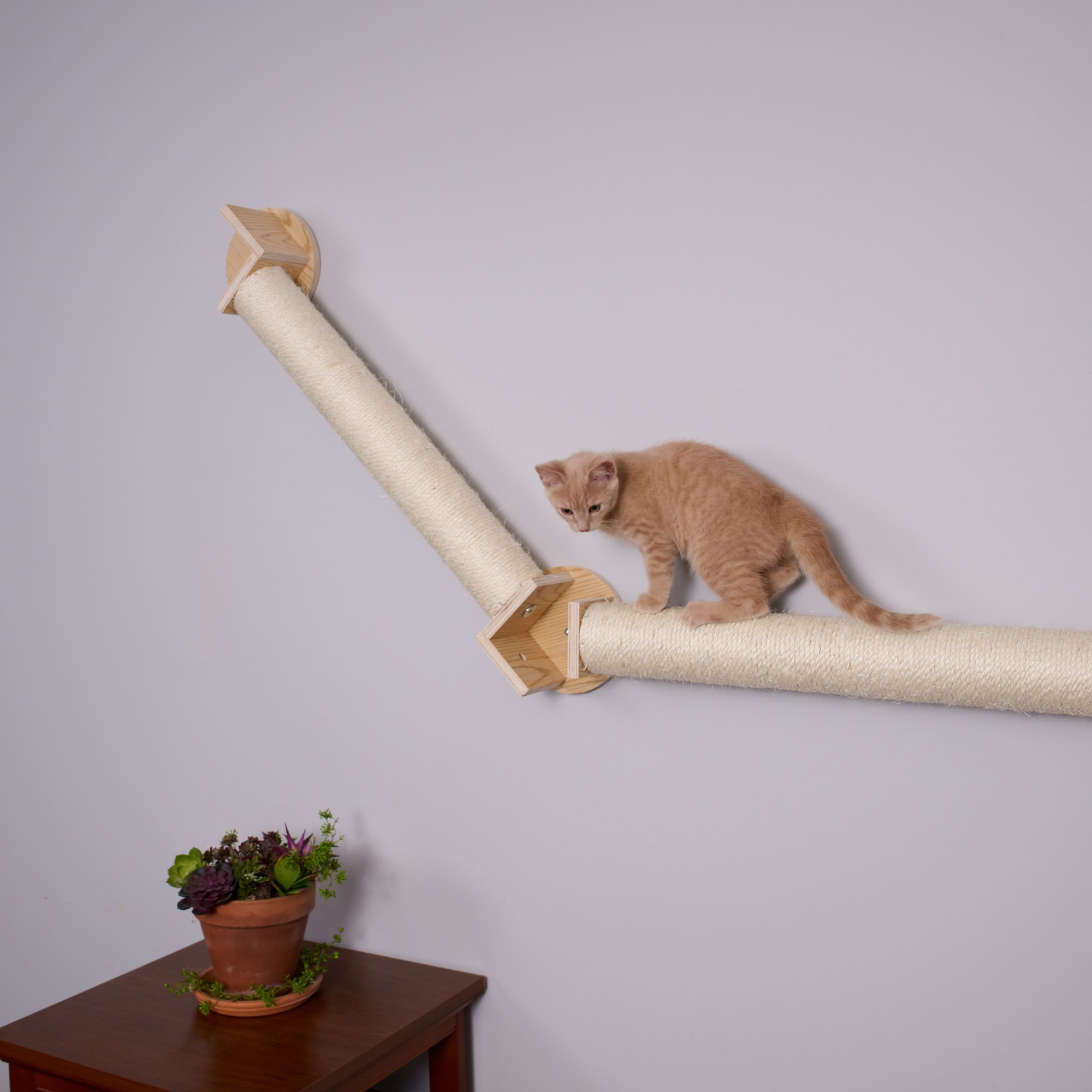 Armarkat W2307 Cat-Trees - View #7