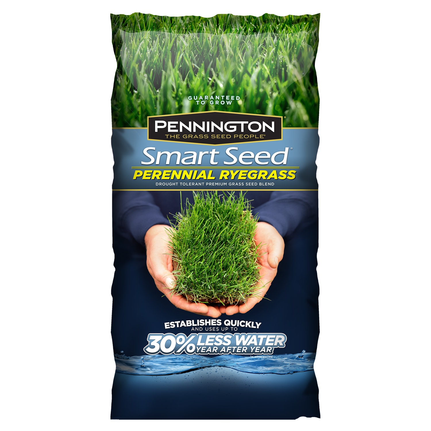 Pennington 2149601712 SMART SEED 3-lb Perennial Ryegrass Grass Seed