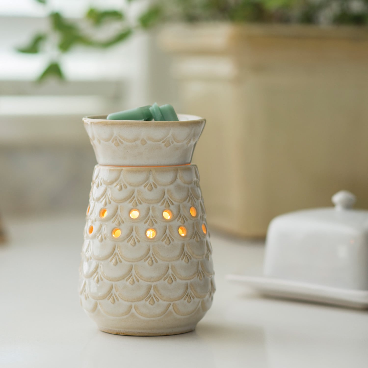 Candle Warmers Etc Fan Fragrance Wax Warmer Perennial