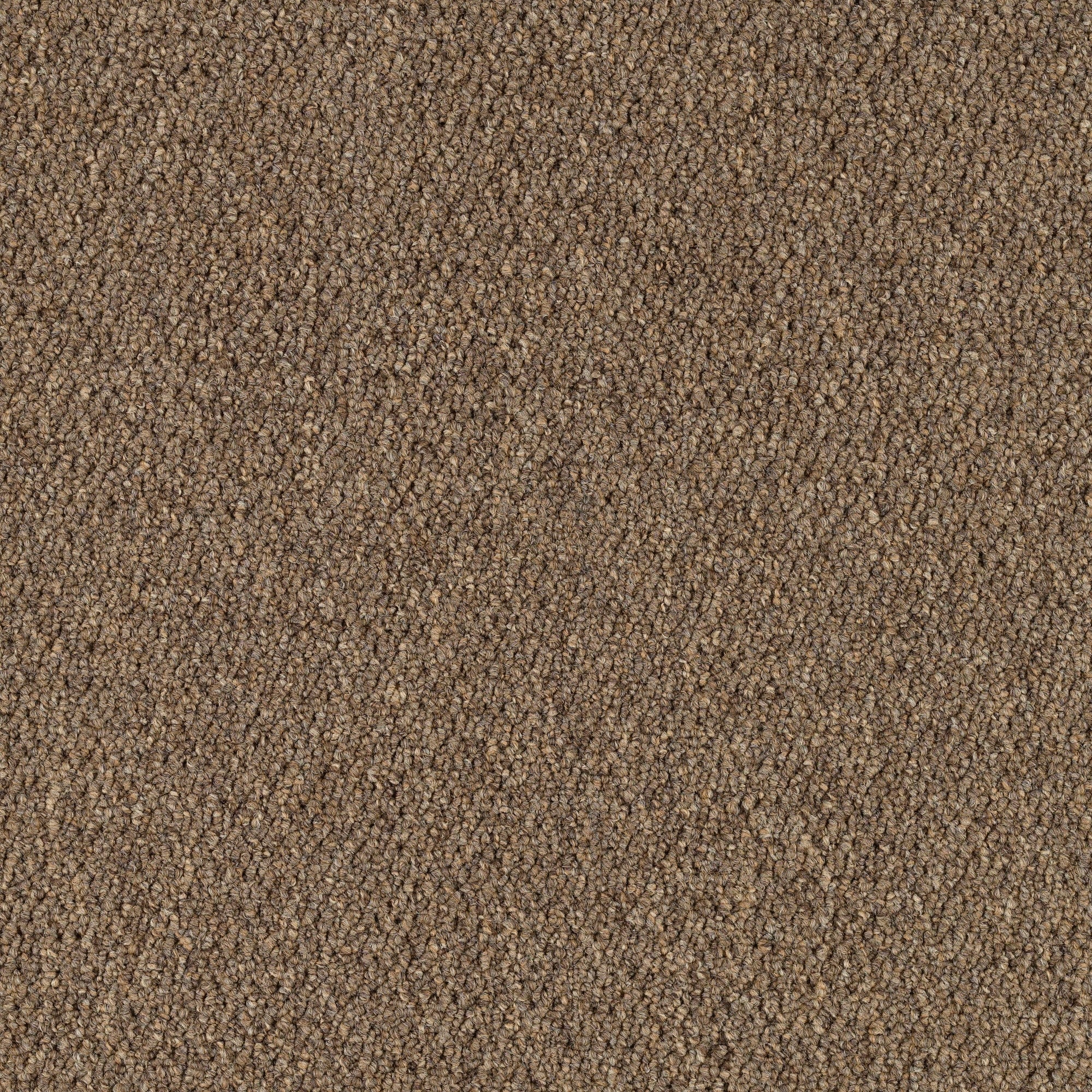 Mohawk LC41-837-0808 (Sample) Home and Office Scholastic 20 Neutral Brown 20-oz sq yard Nylon Textured Indoor Carpet